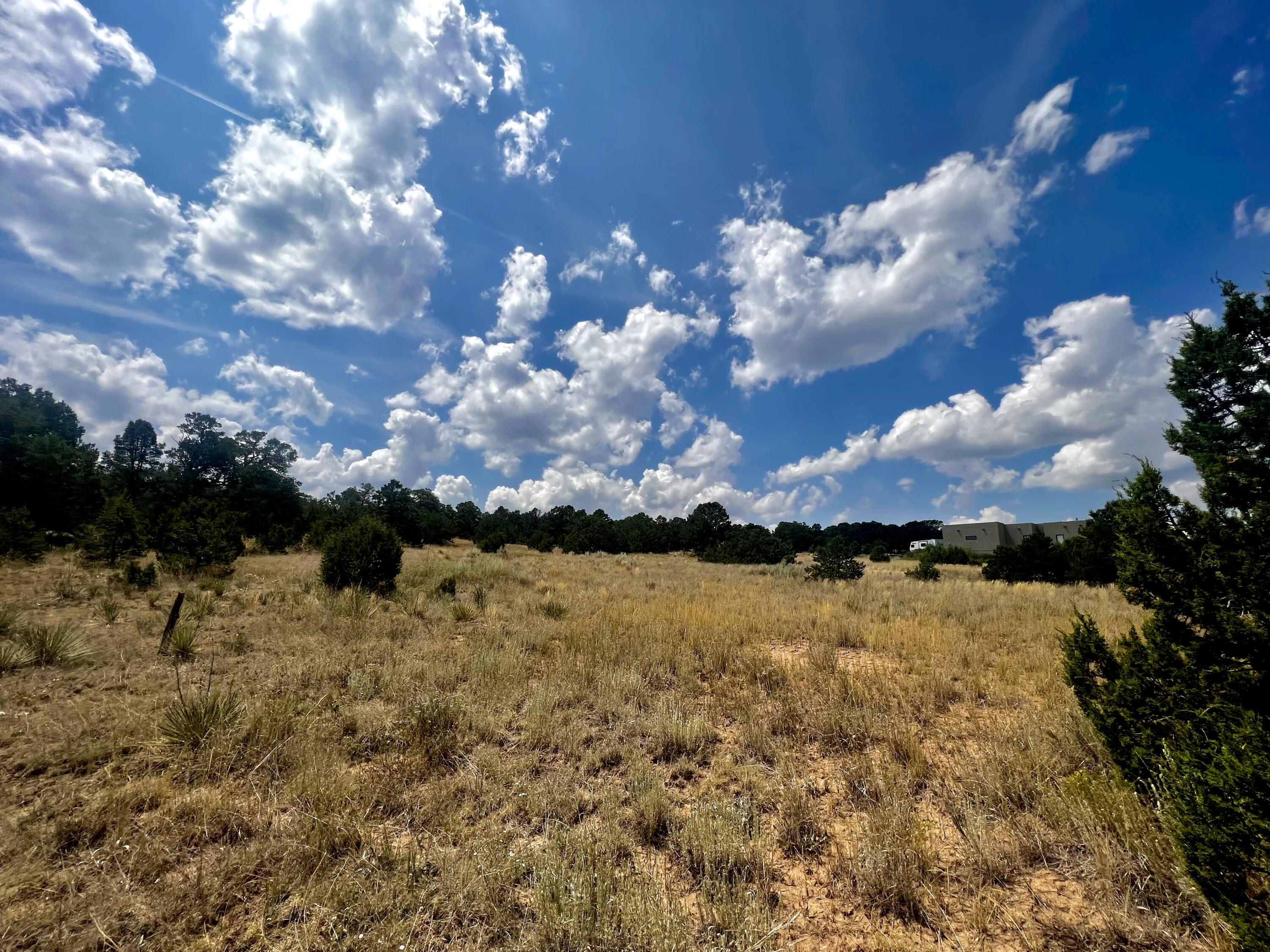 6 Wildcat Court, Tijeras, New Mexico image 6