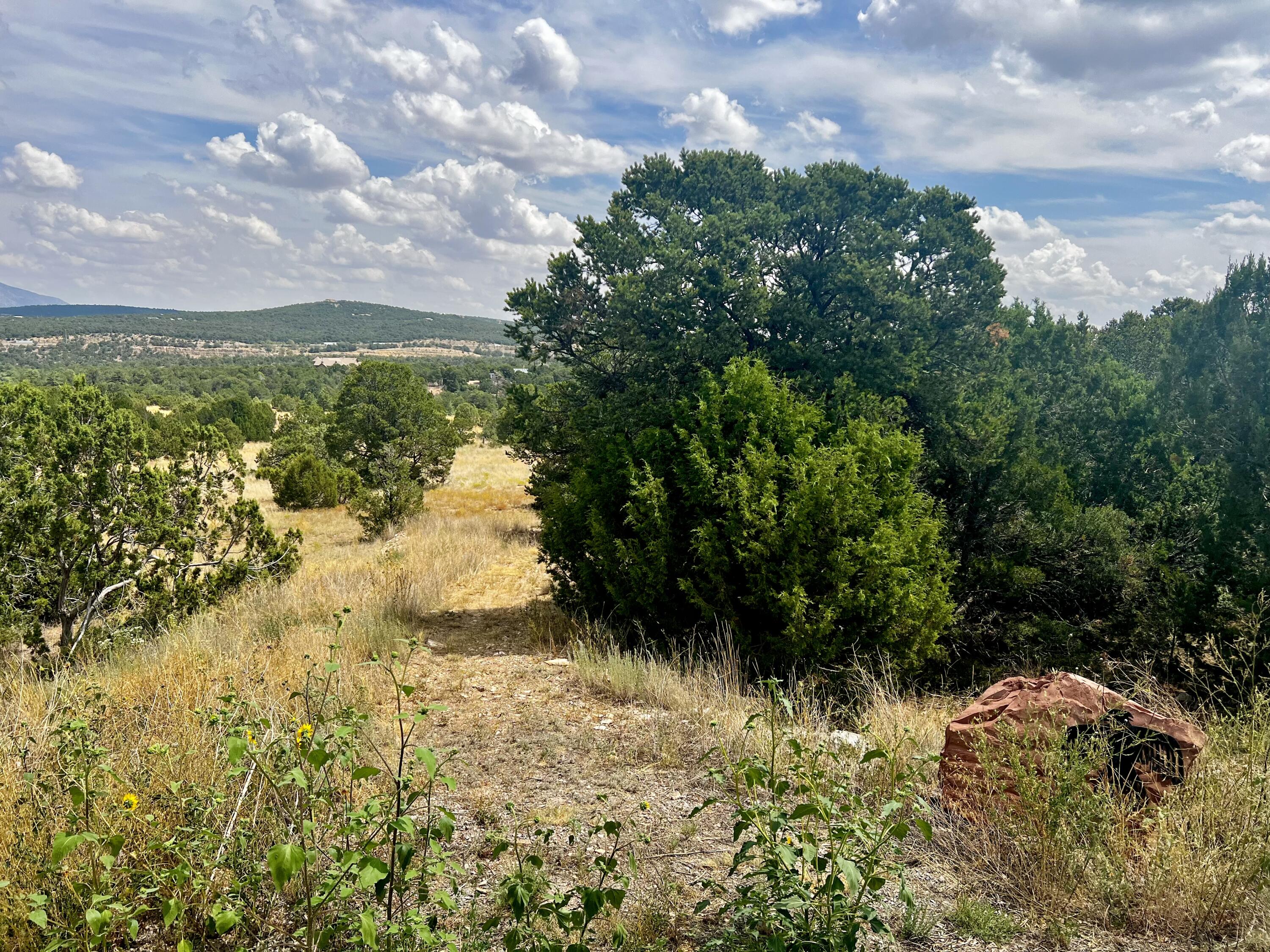 6 Wildcat Court, Tijeras, New Mexico image 1