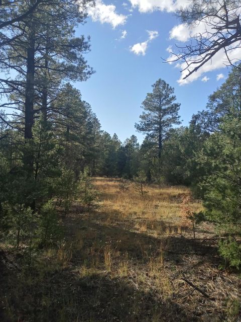 Vacant Land For Sale - LOT 15 Yucca Drive<br/> Ramah, NM 87321