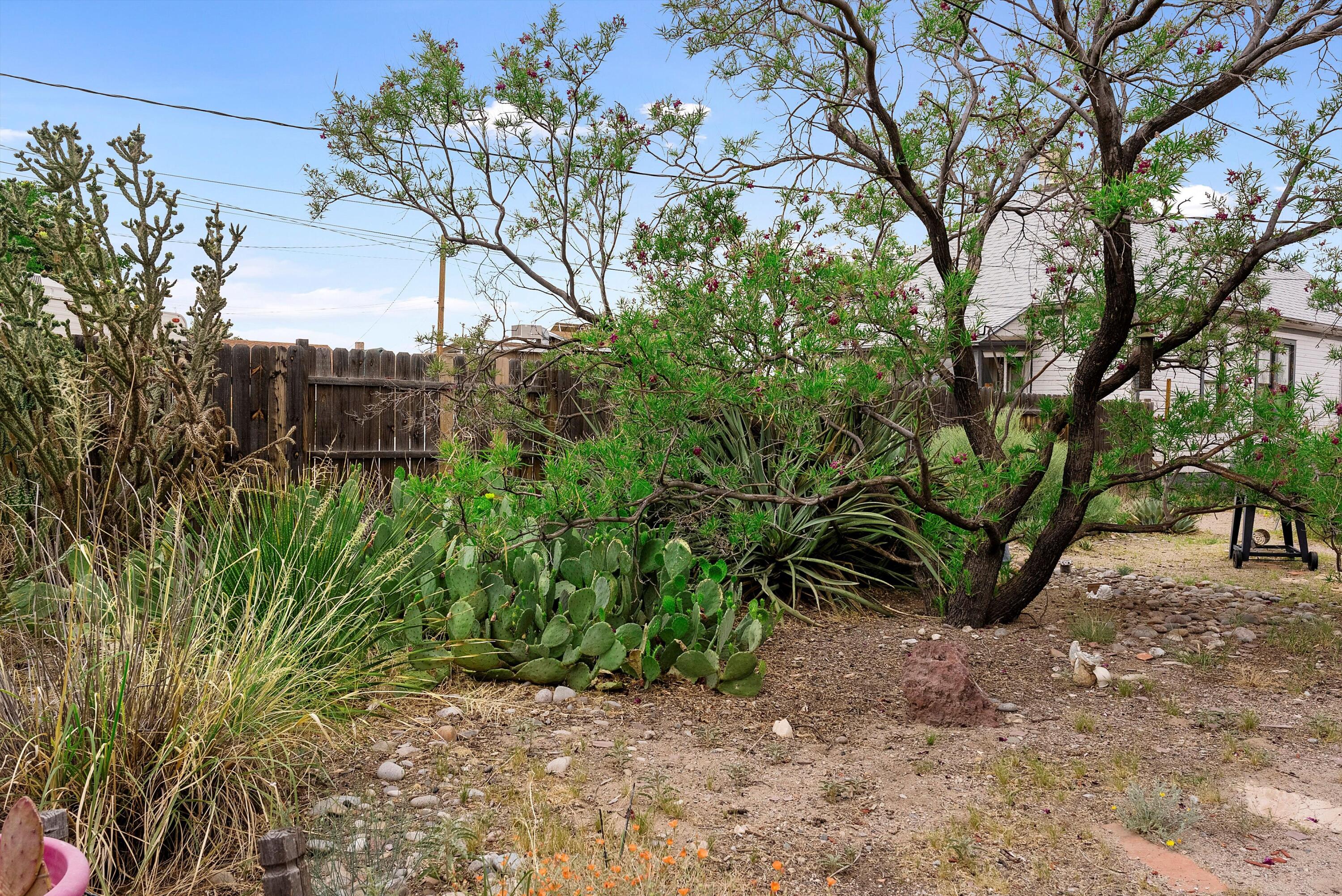 518 High Street, Albuquerque, New Mexico image 29