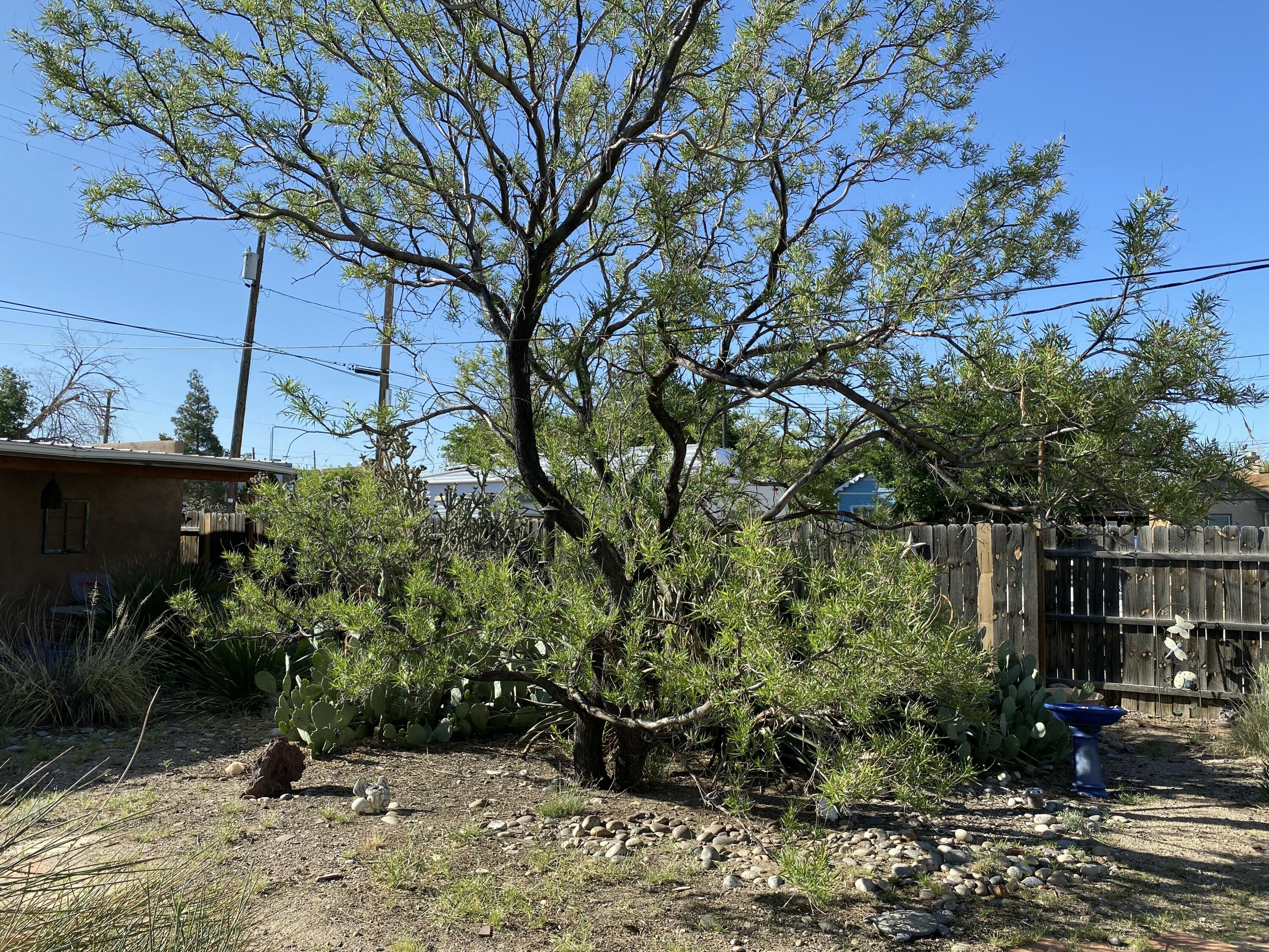 518 High Street, Albuquerque, New Mexico image 38