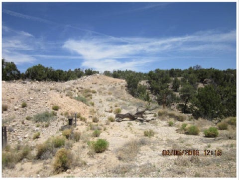 Photo of 14 San Mateo Trail, Mountainair, NM 87036 (MLS # 1112310)