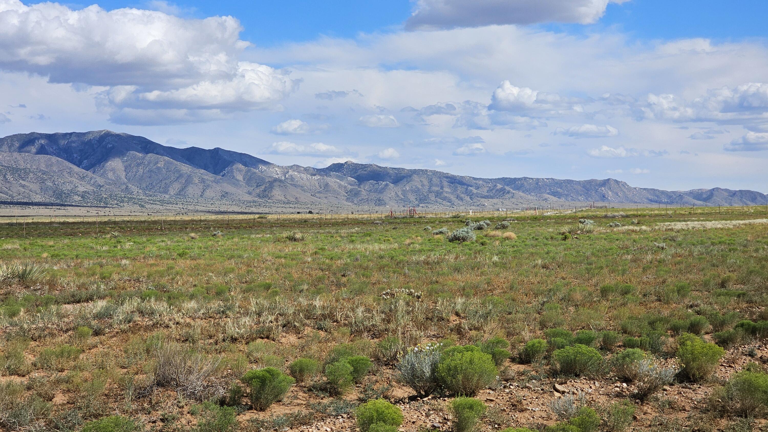 VL Lot 29 Block 1202 #T, Belen, New Mexico image 1