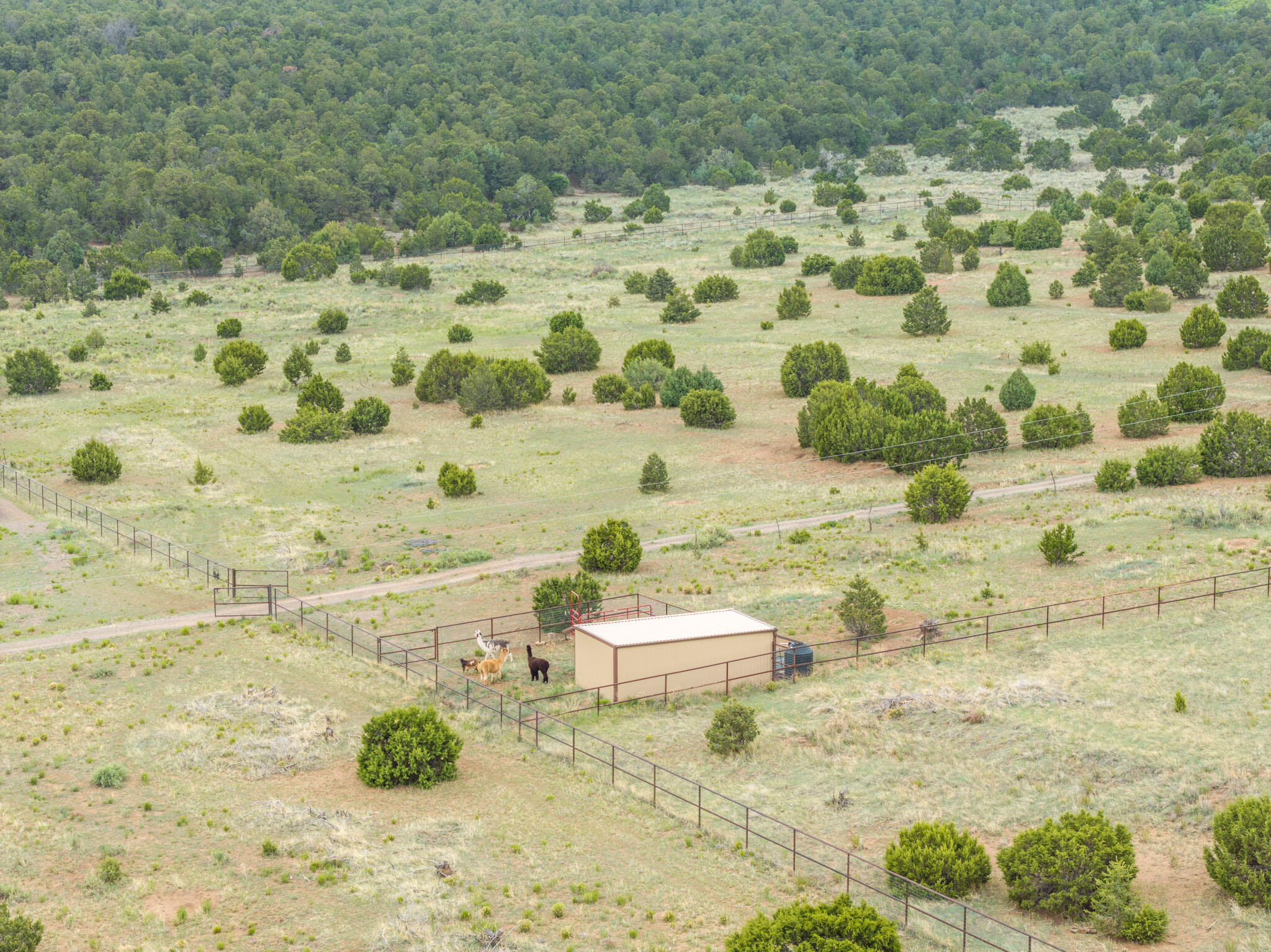 189 Brannan Road, Tijeras, New Mexico image 29