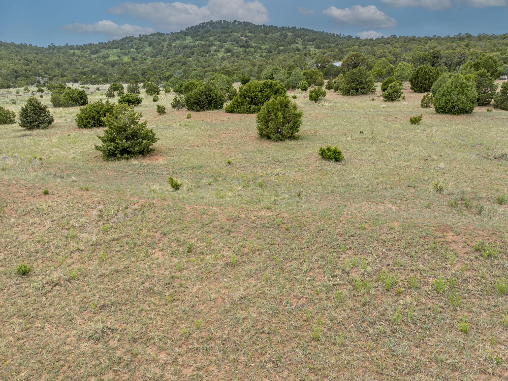 189 Brannan Road, Tijeras, New Mexico image 31