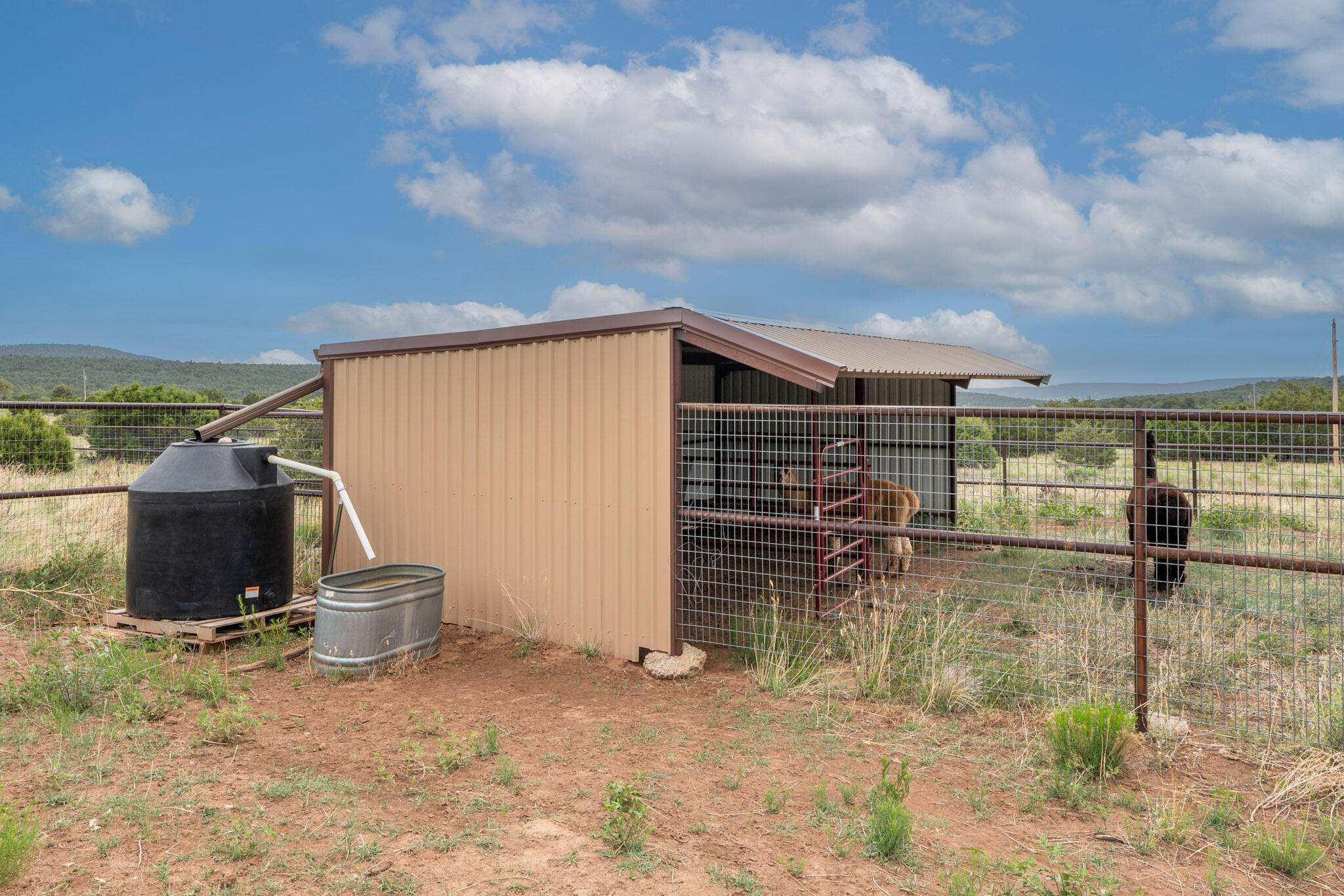 189 Brannan Road, Tijeras, New Mexico image 12