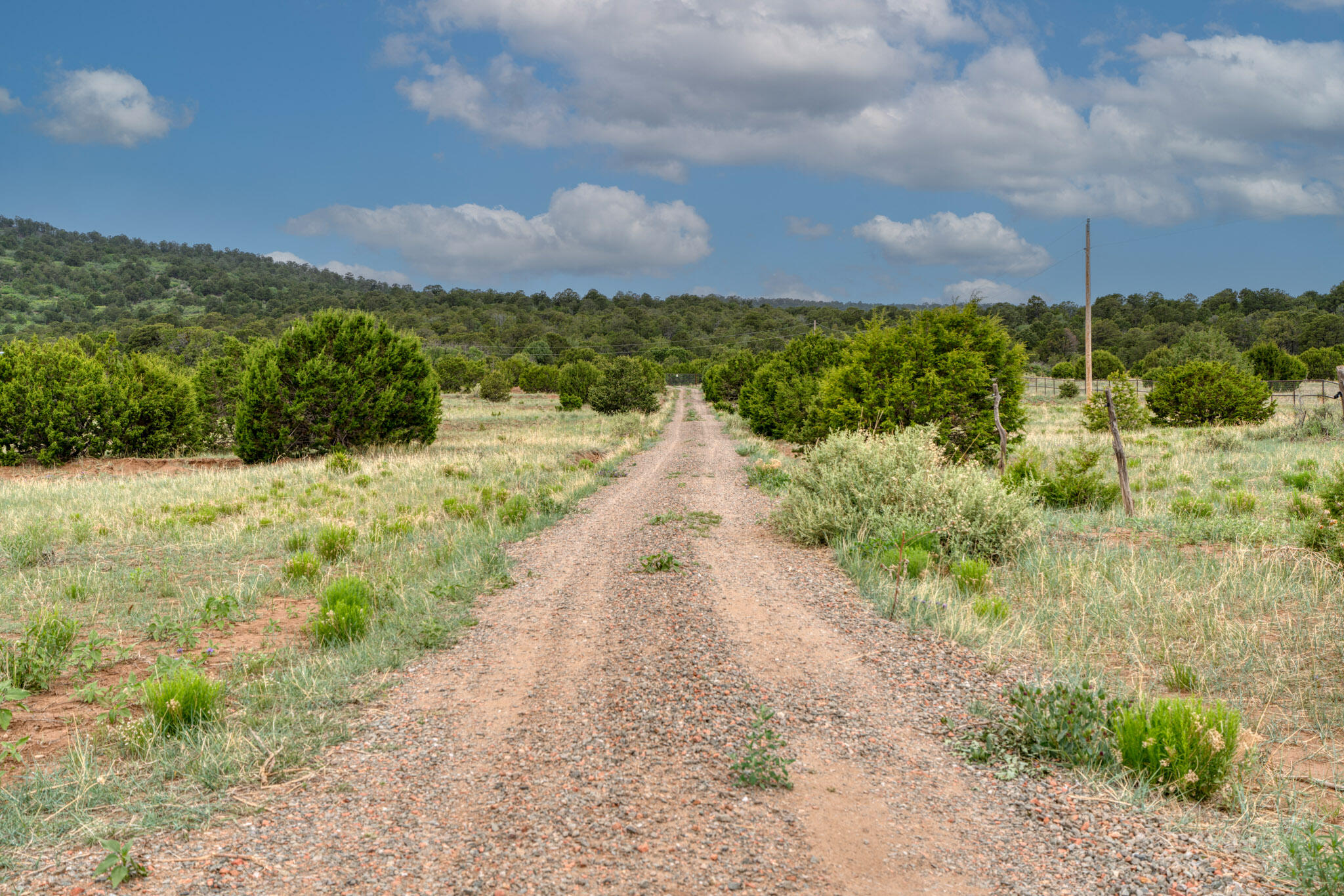 189 Brannan Road, Tijeras, New Mexico image 3