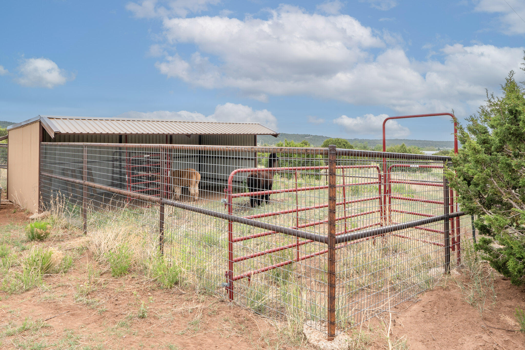 189 Brannan Road, Tijeras, New Mexico image 11