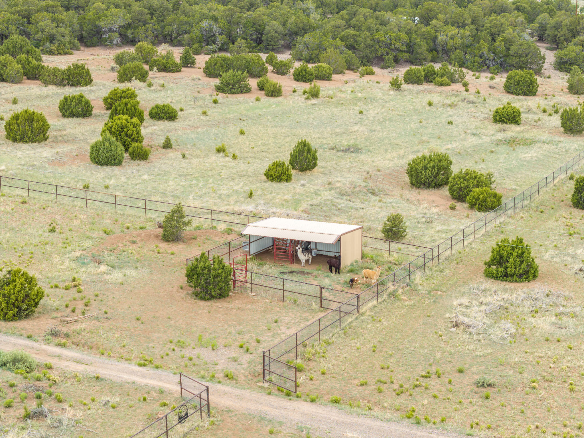 189 Brannan Road, Tijeras, New Mexico image 15