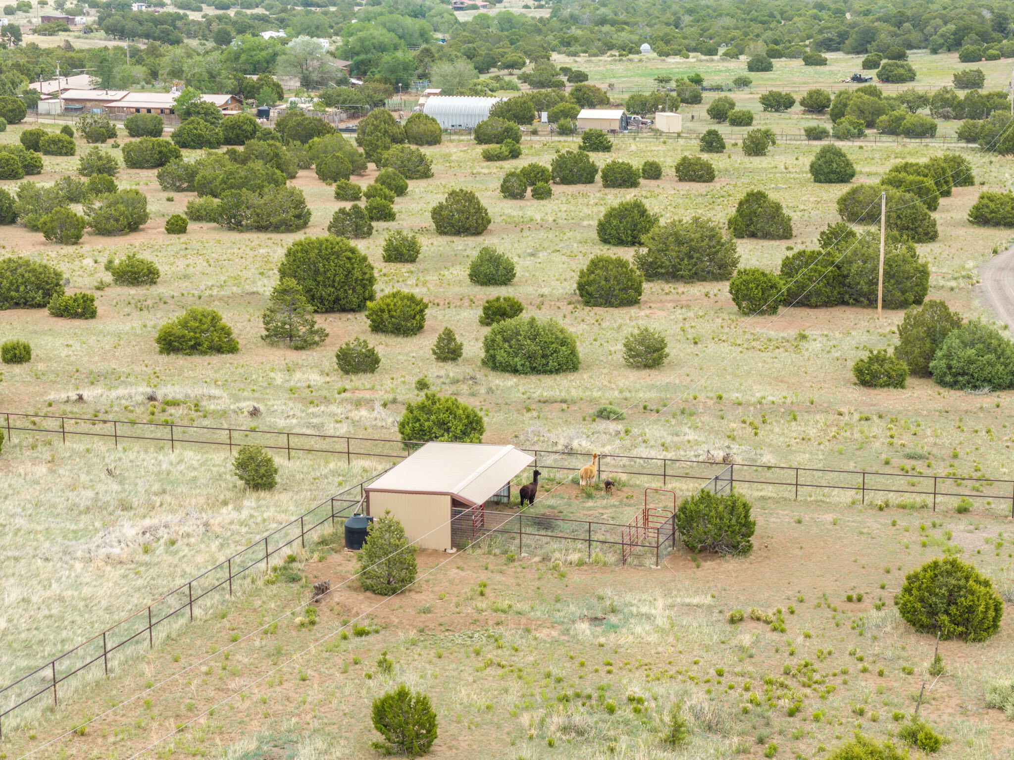 189 Brannan Road, Tijeras, New Mexico image 13