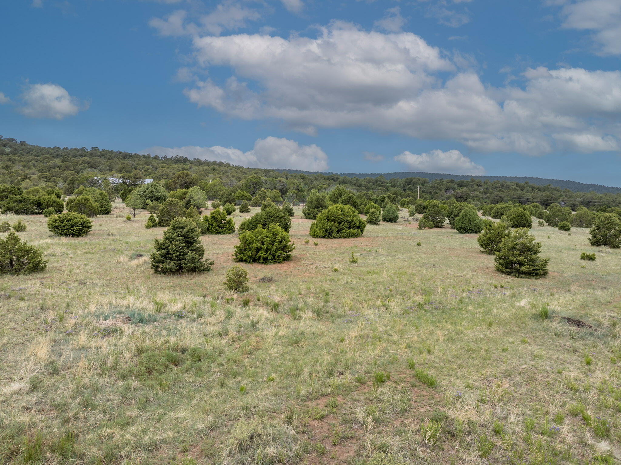 189 Brannan Road, Tijeras, New Mexico image 30