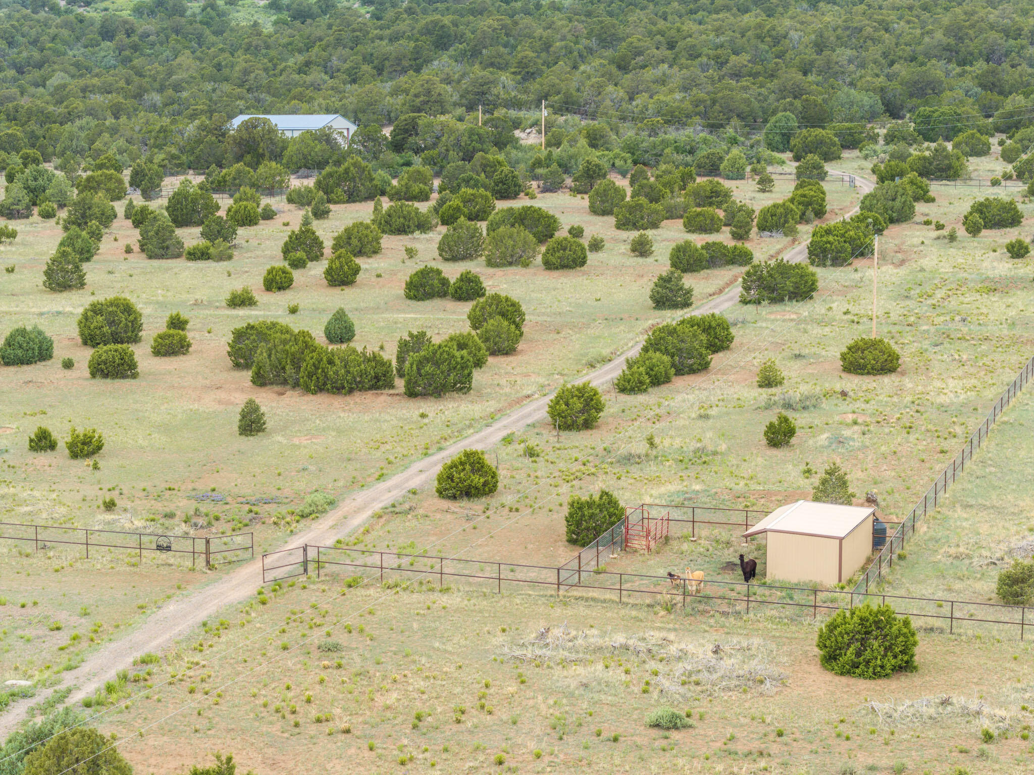 189 Brannan Road, Tijeras, New Mexico image 28