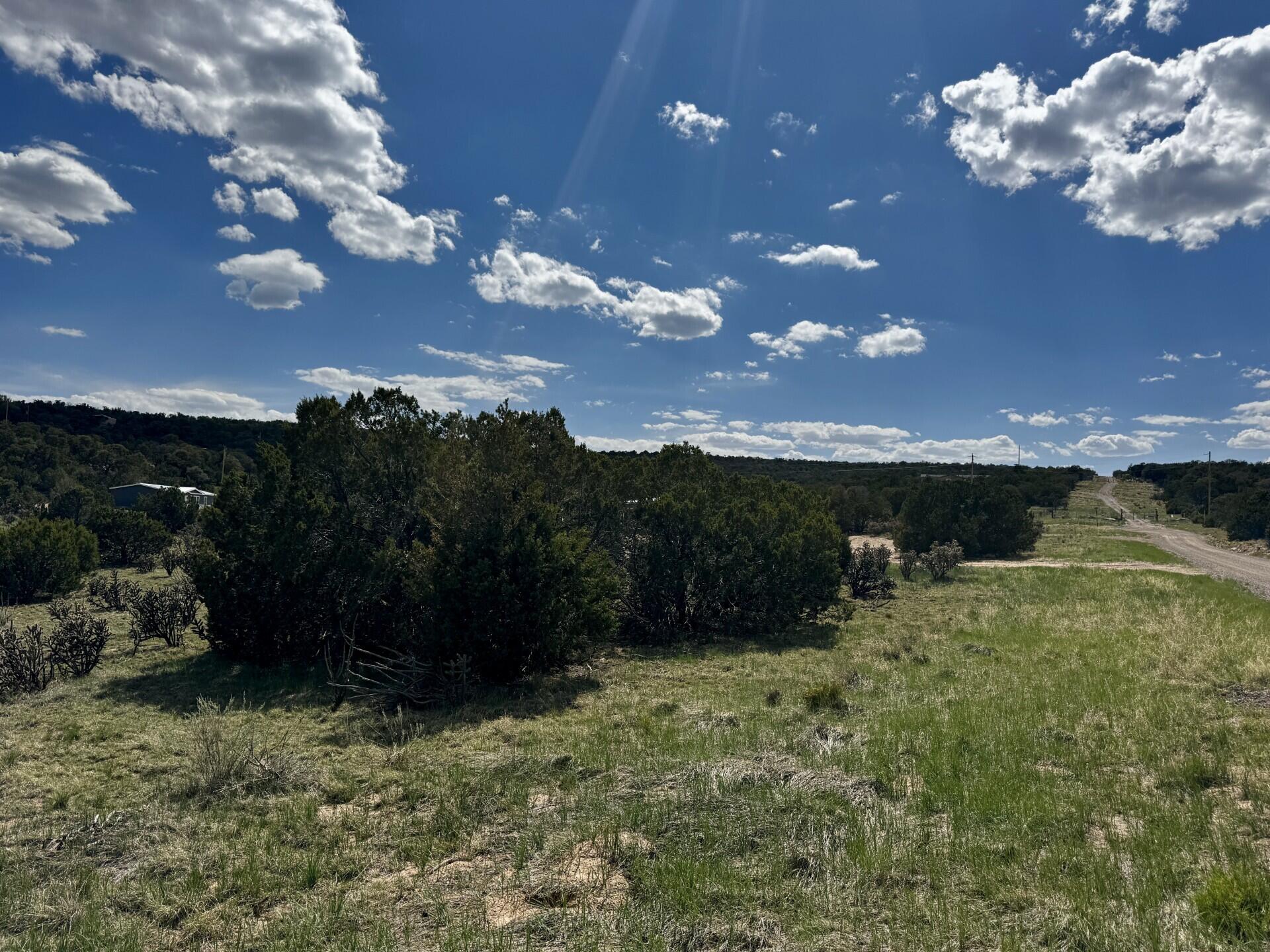 226 Nugent Road, Edgewood, New Mexico image 2