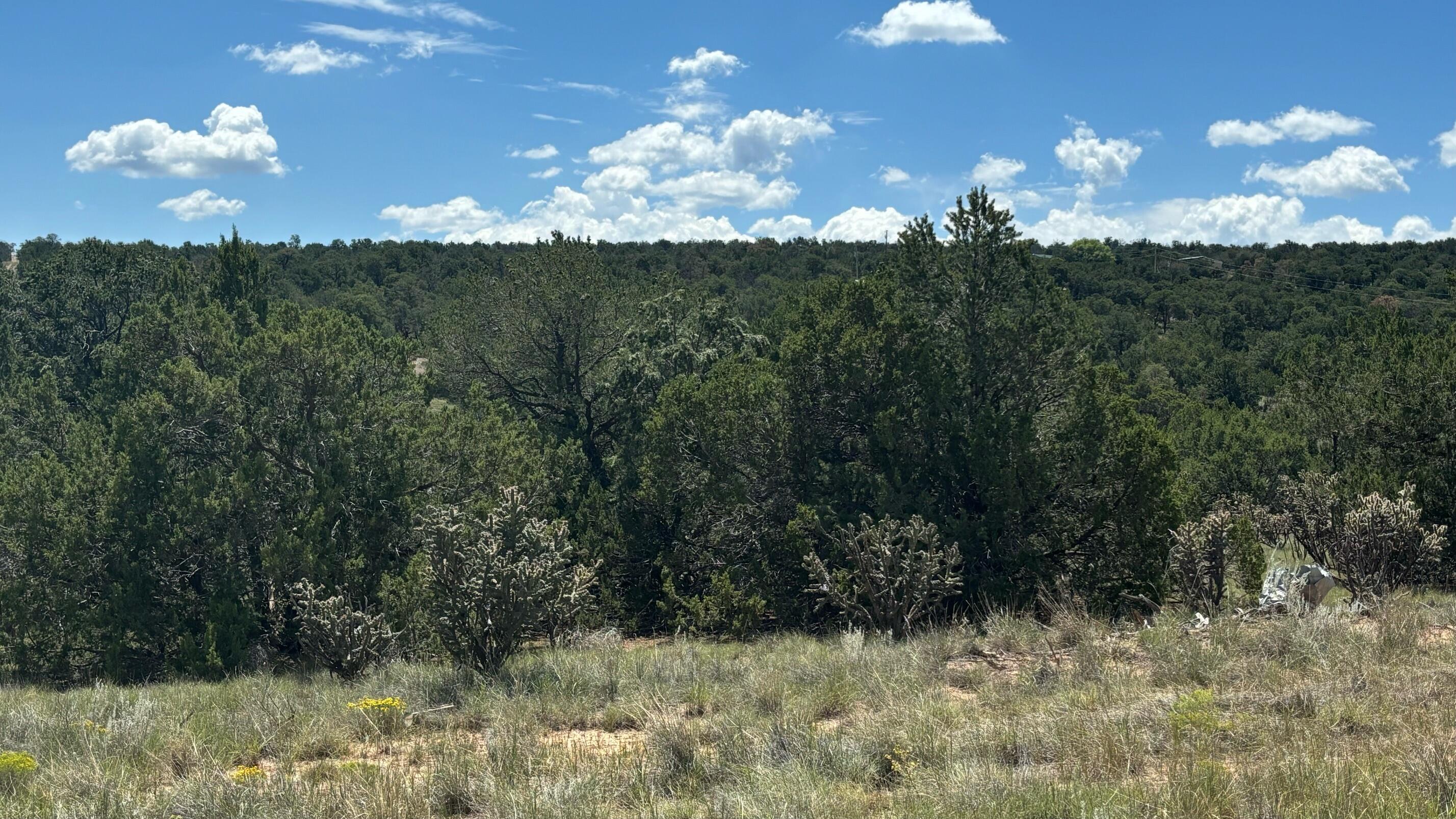 226 Nugent Road, Edgewood, New Mexico image 5