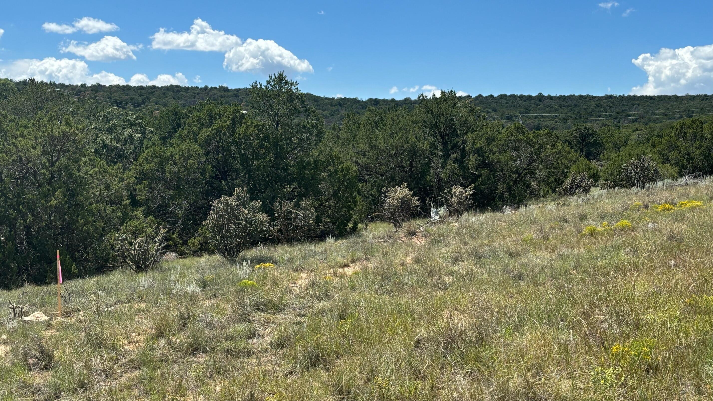 226 Nugent Road, Edgewood, New Mexico image 7