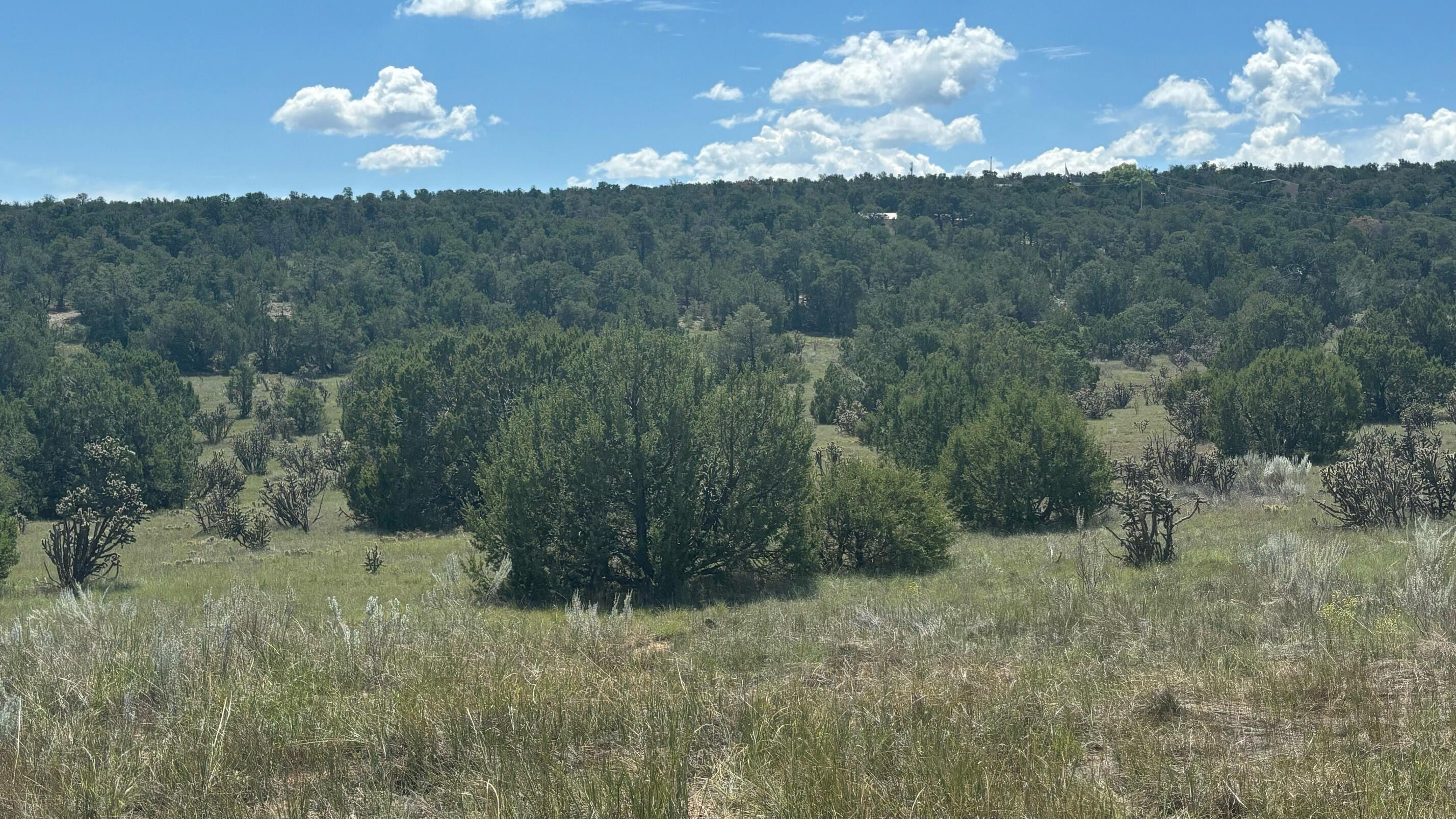 226 Nugent Road, Edgewood, New Mexico image 10
