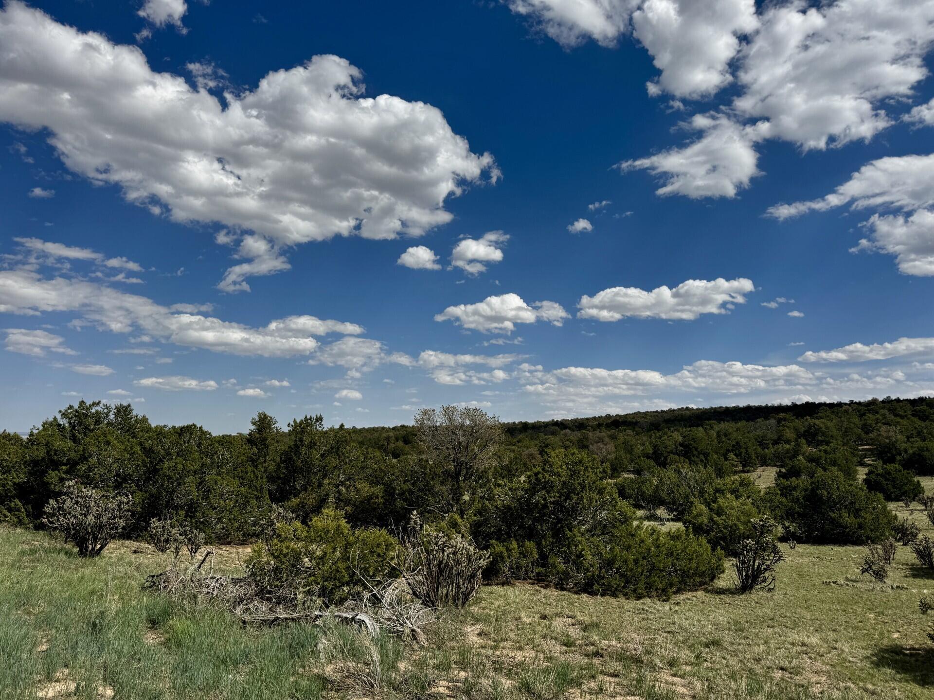 226 Nugent Road, Edgewood, New Mexico image 3
