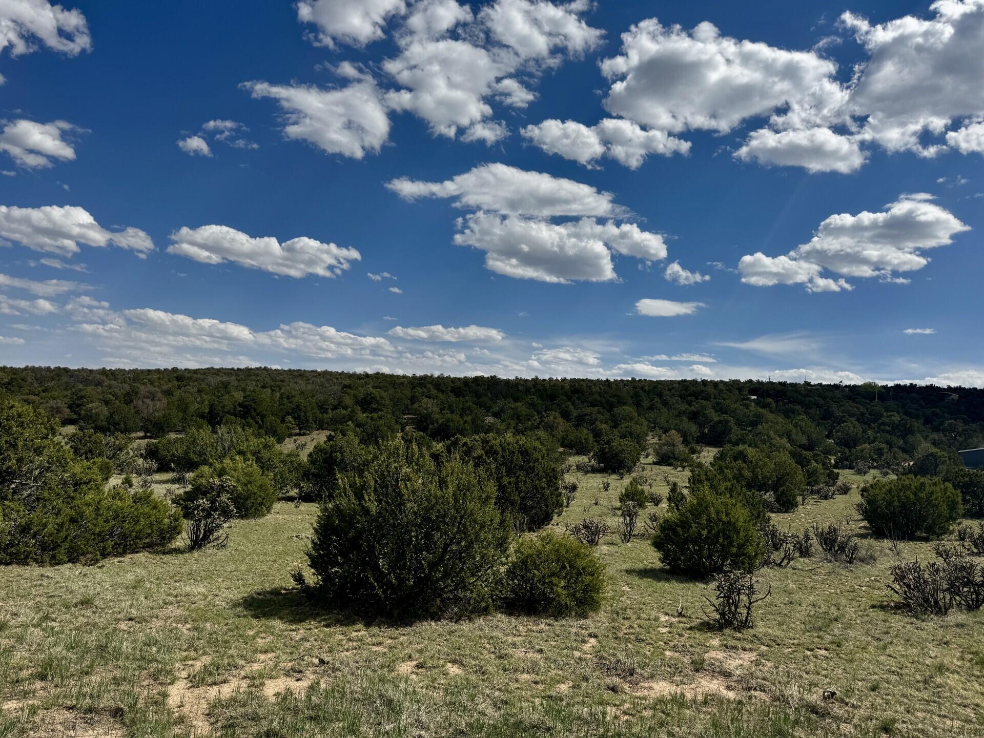226 Nugent Road, Edgewood, New Mexico image 1