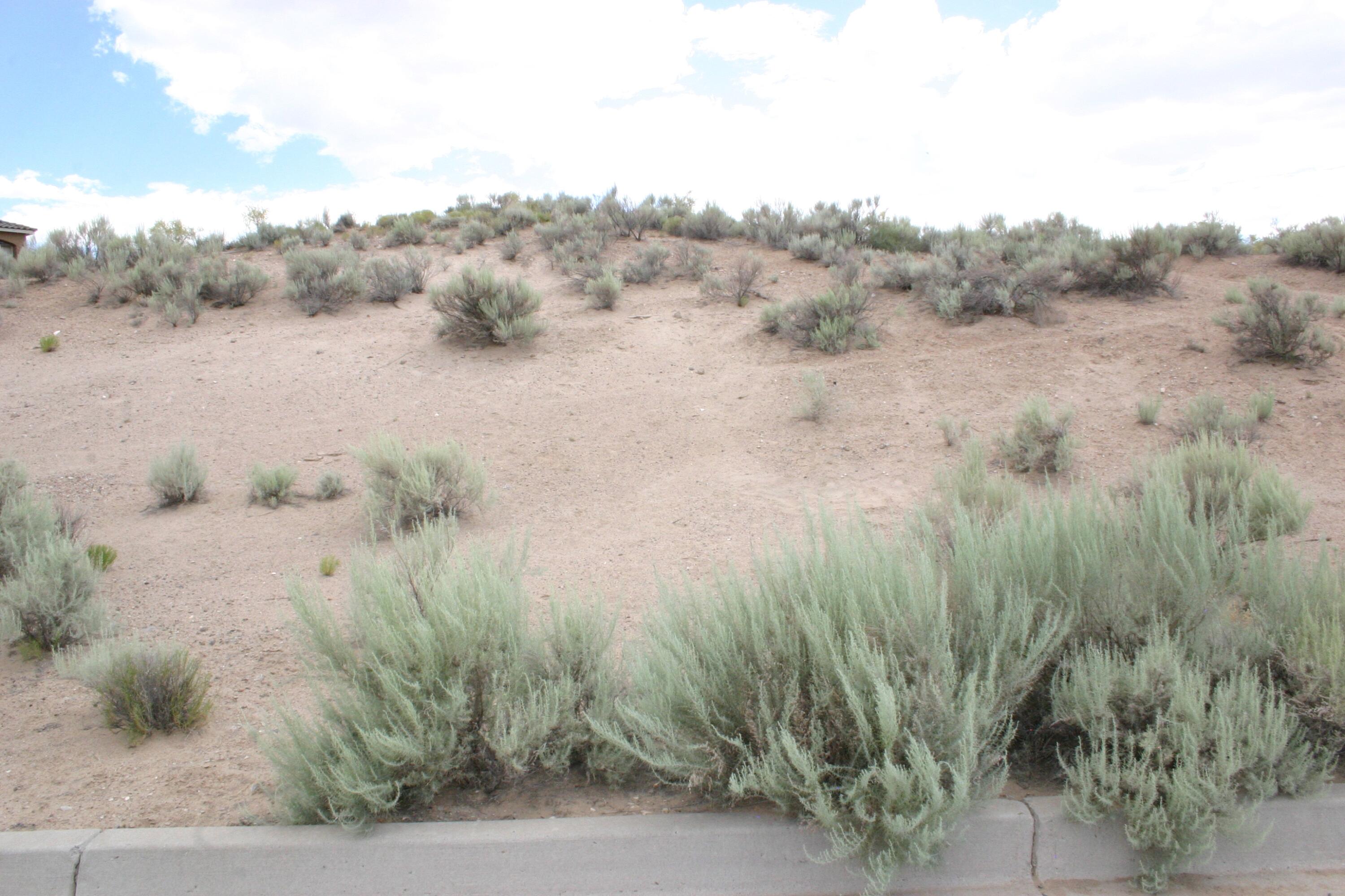 2402 Istle (u13 B143 L17) Road, Rio Rancho, New Mexico image 14