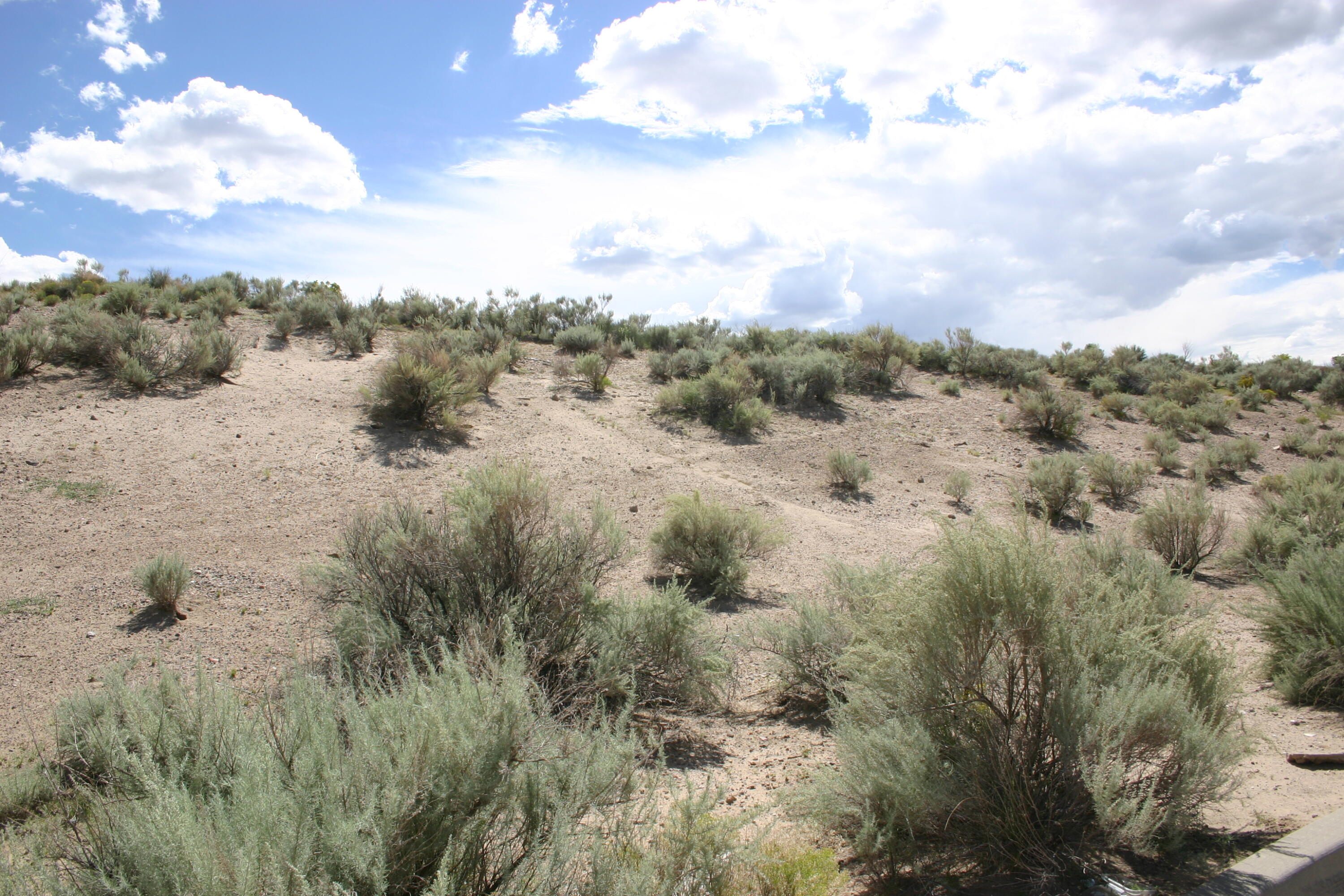 2402 Istle (u13 B143 L17) Road, Rio Rancho, New Mexico image 18