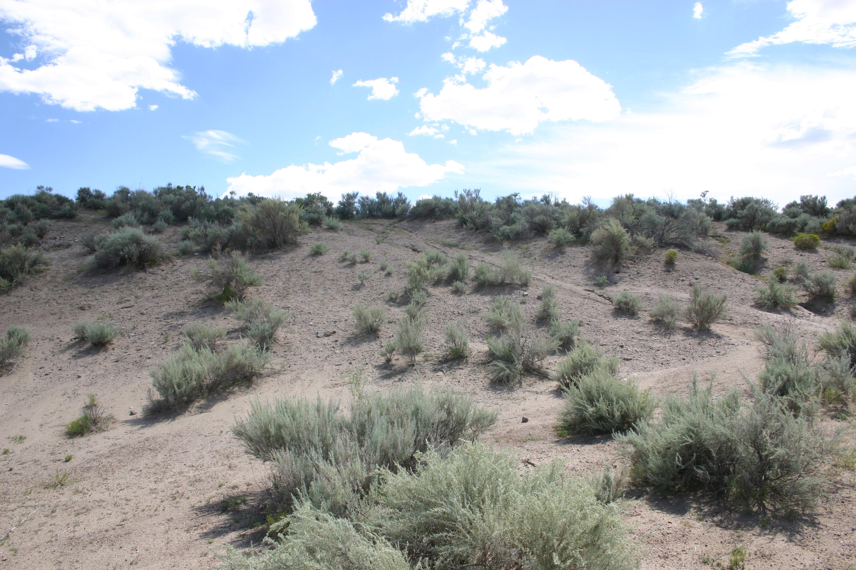 2402 Istle (u13 B143 L17) Road, Rio Rancho, New Mexico image 15