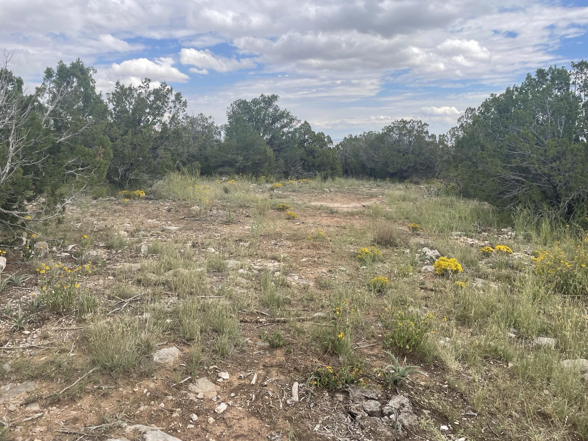 29 Morper Lane, Edgewood, New Mexico image 1