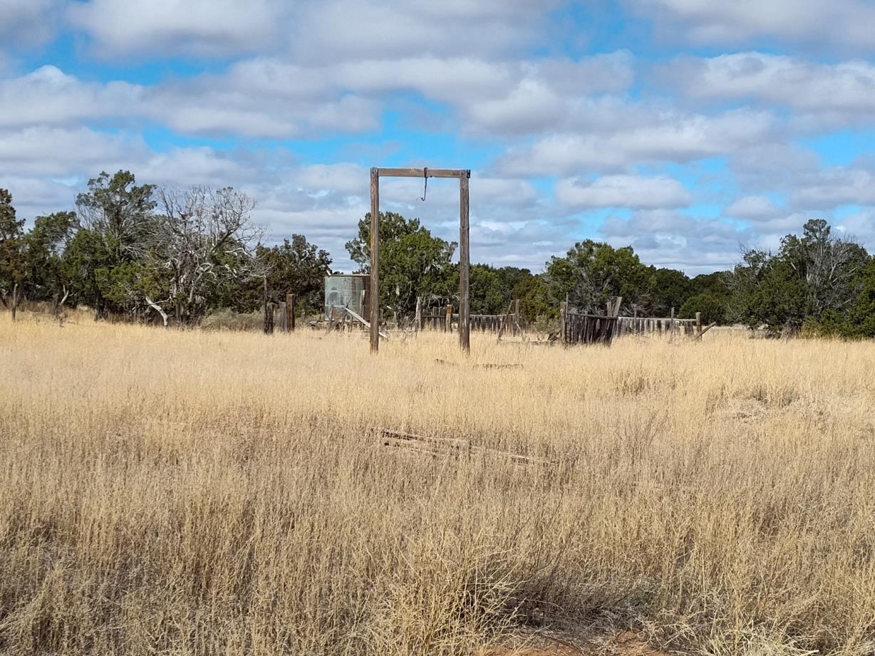 Outskirts Road, Mountainair, New Mexico image 3