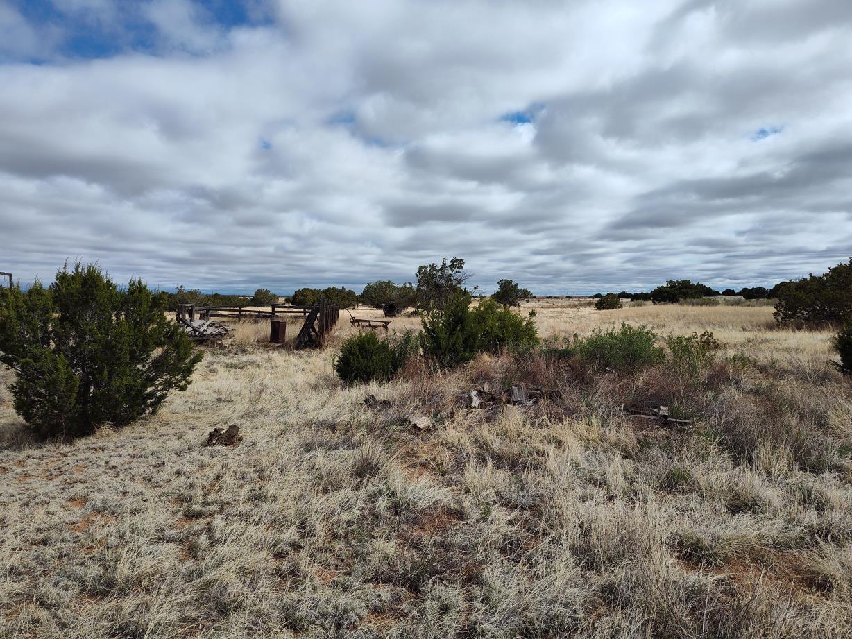 Outskirts Road, Mountainair, New Mexico image 7