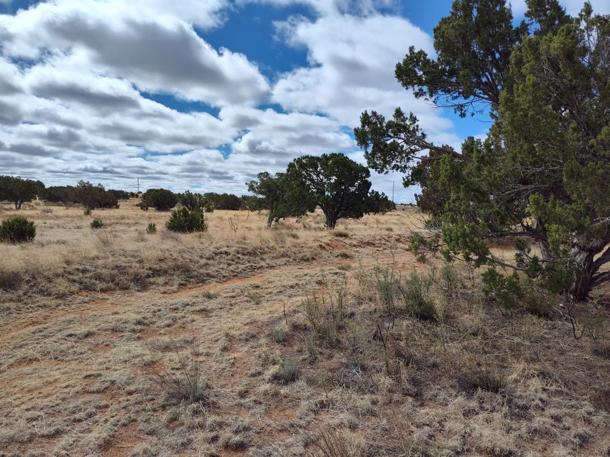 Outskirts Road, Mountainair, New Mexico image 1