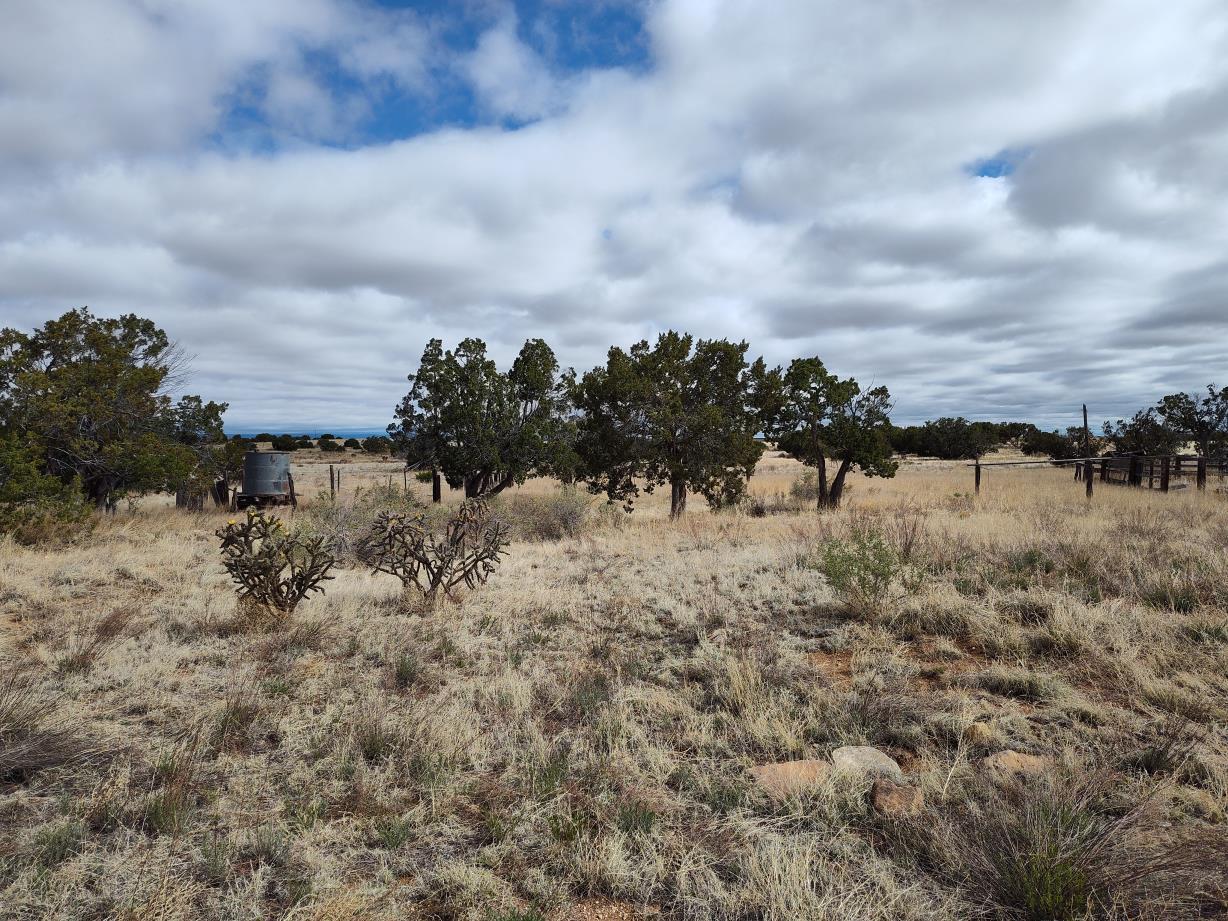 Outskirts Road, Mountainair, New Mexico image 6