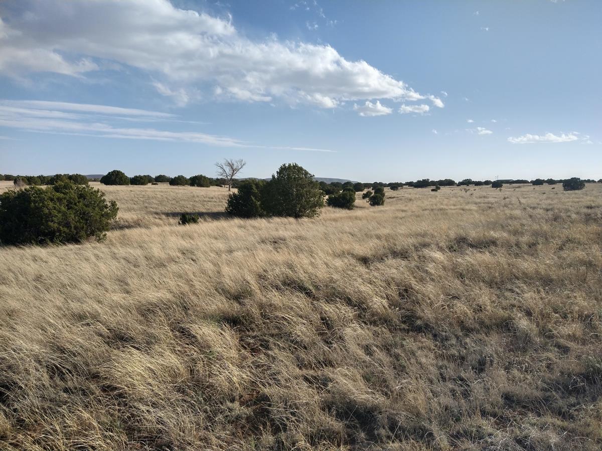 Outskirts Road, Mountainair, New Mexico image 22