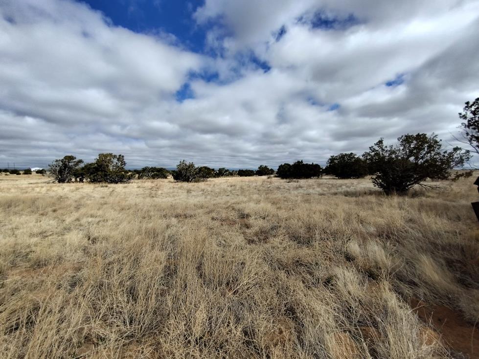 Outskirts Road, Mountainair, New Mexico image 4