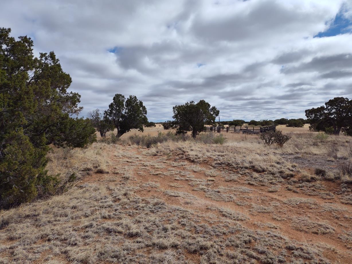 Outskirts Road, Mountainair, New Mexico image 5