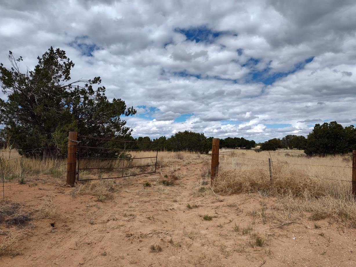 Outskirts Road, Mountainair, New Mexico image 2