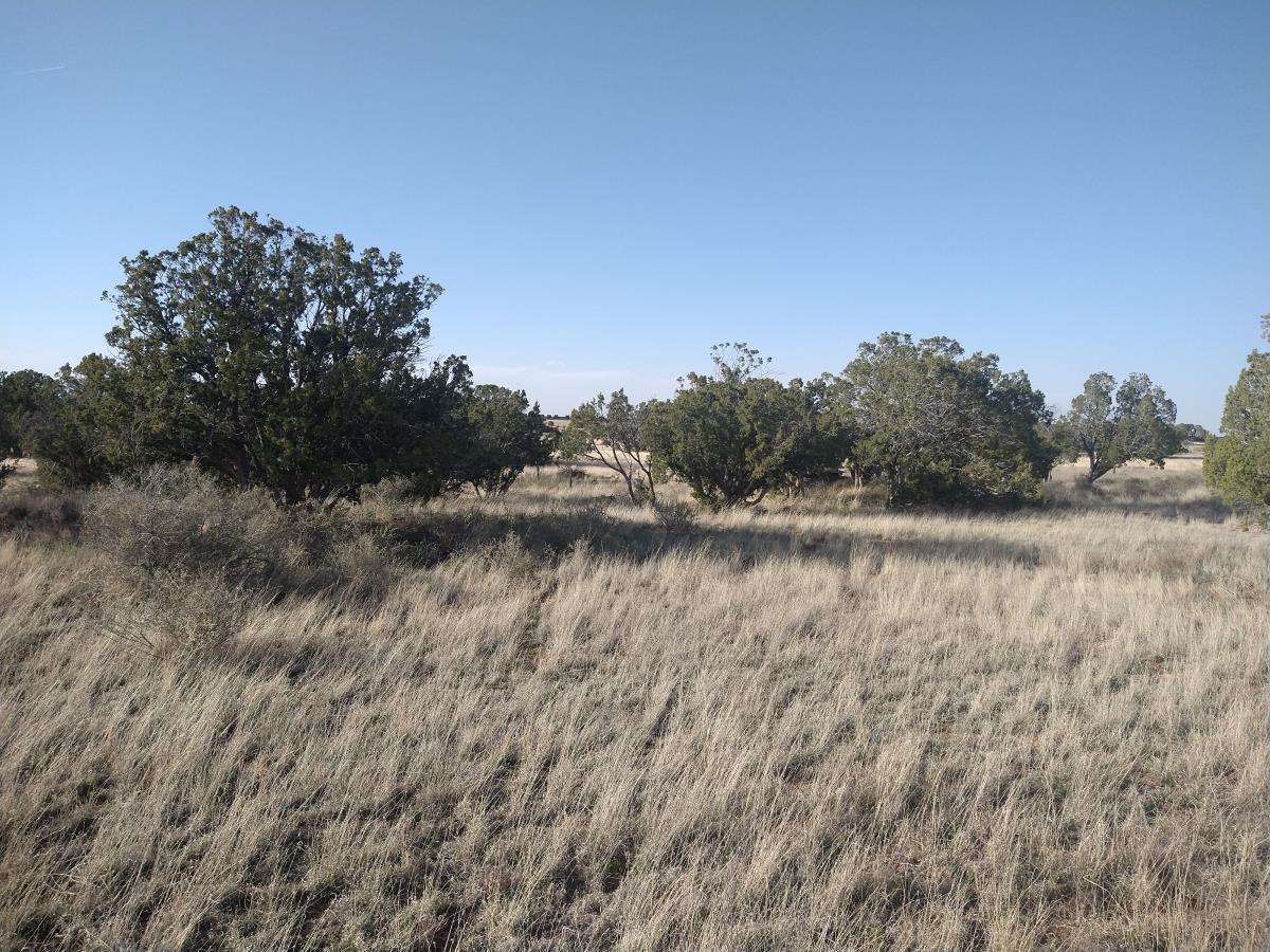 Outskirts Road, Mountainair, New Mexico image 8