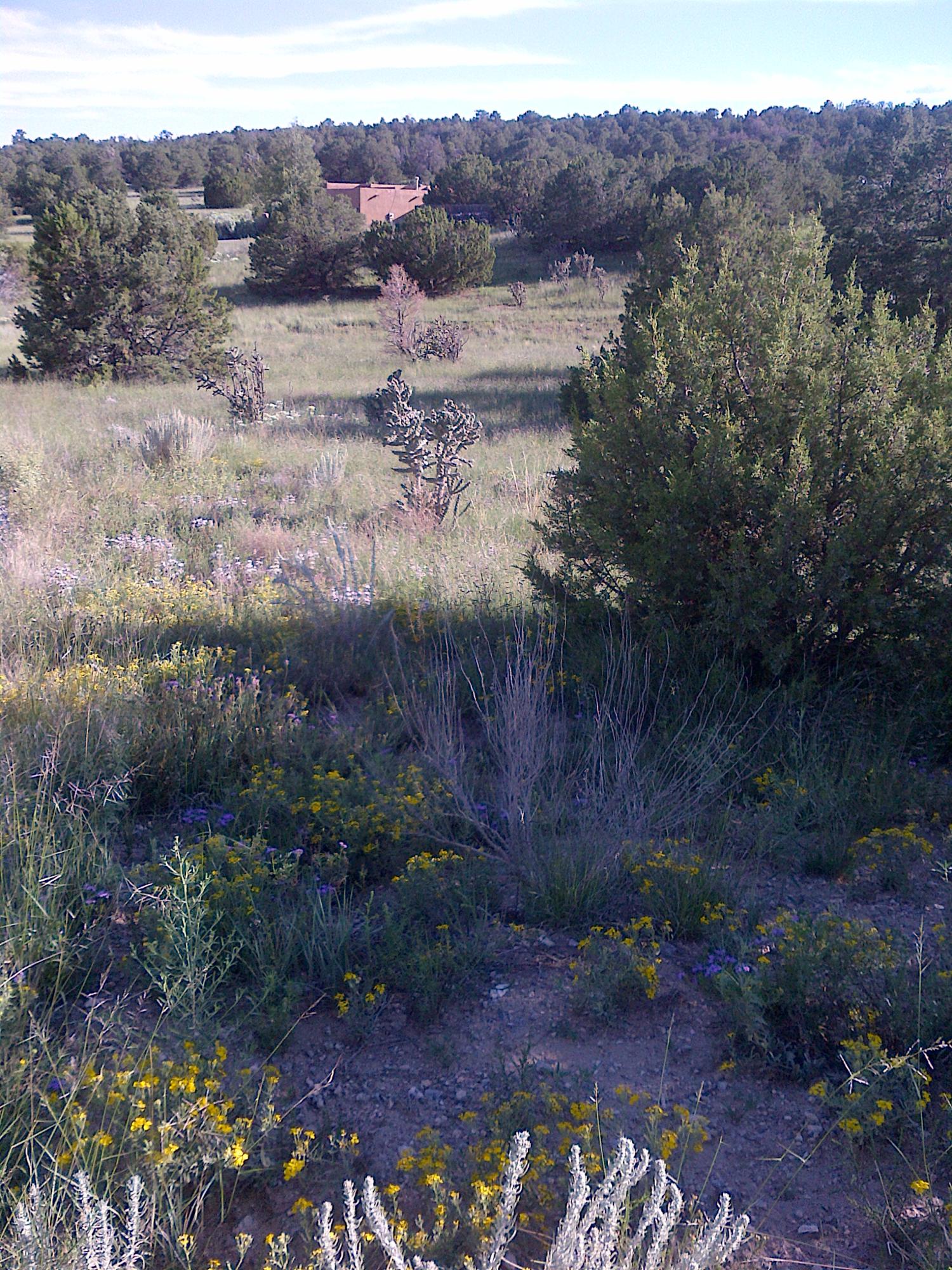 3 Mardan Lane, Moriarty, New Mexico image 1