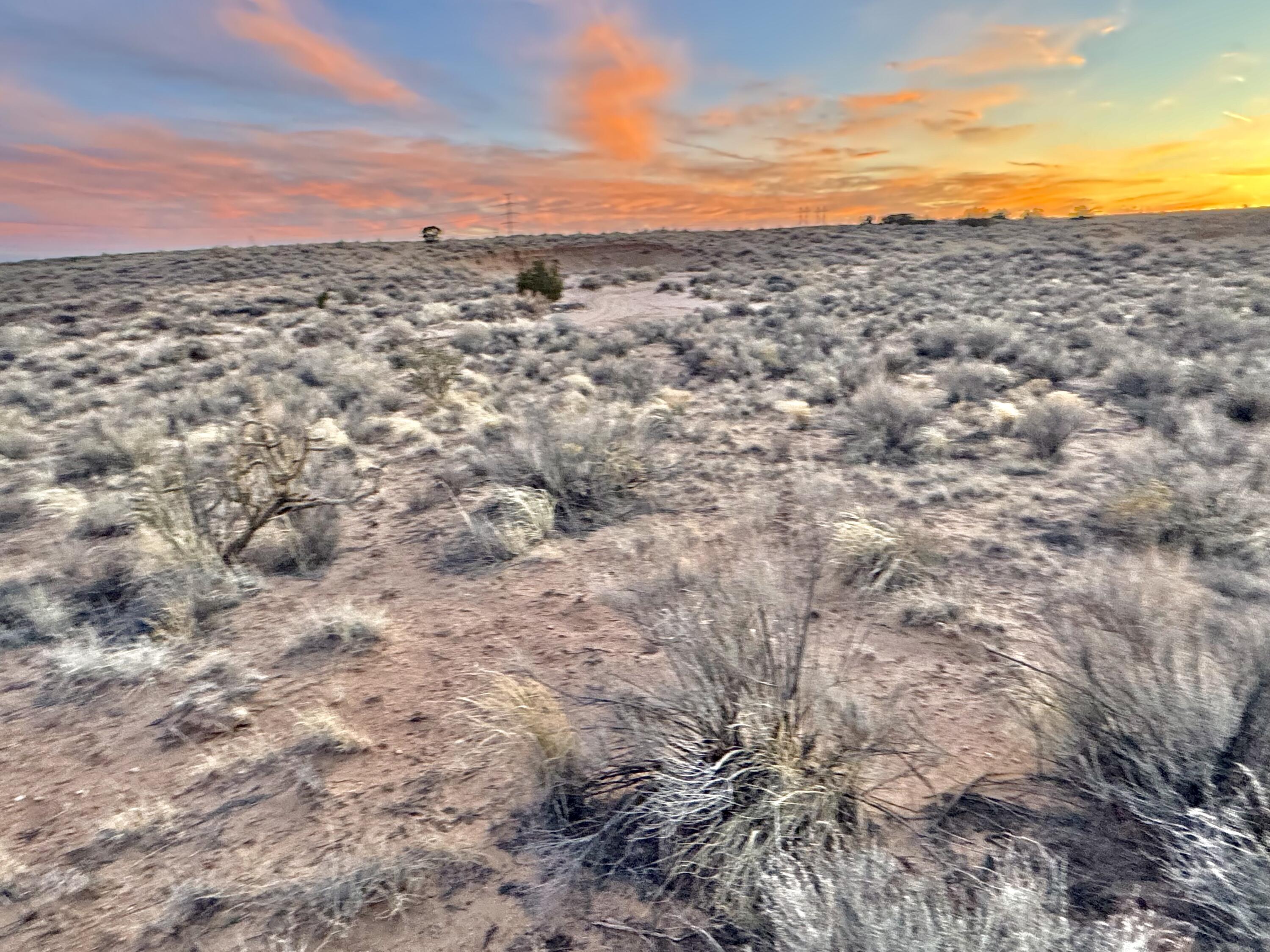 Moon Road, Rio Rancho, New Mexico image 15