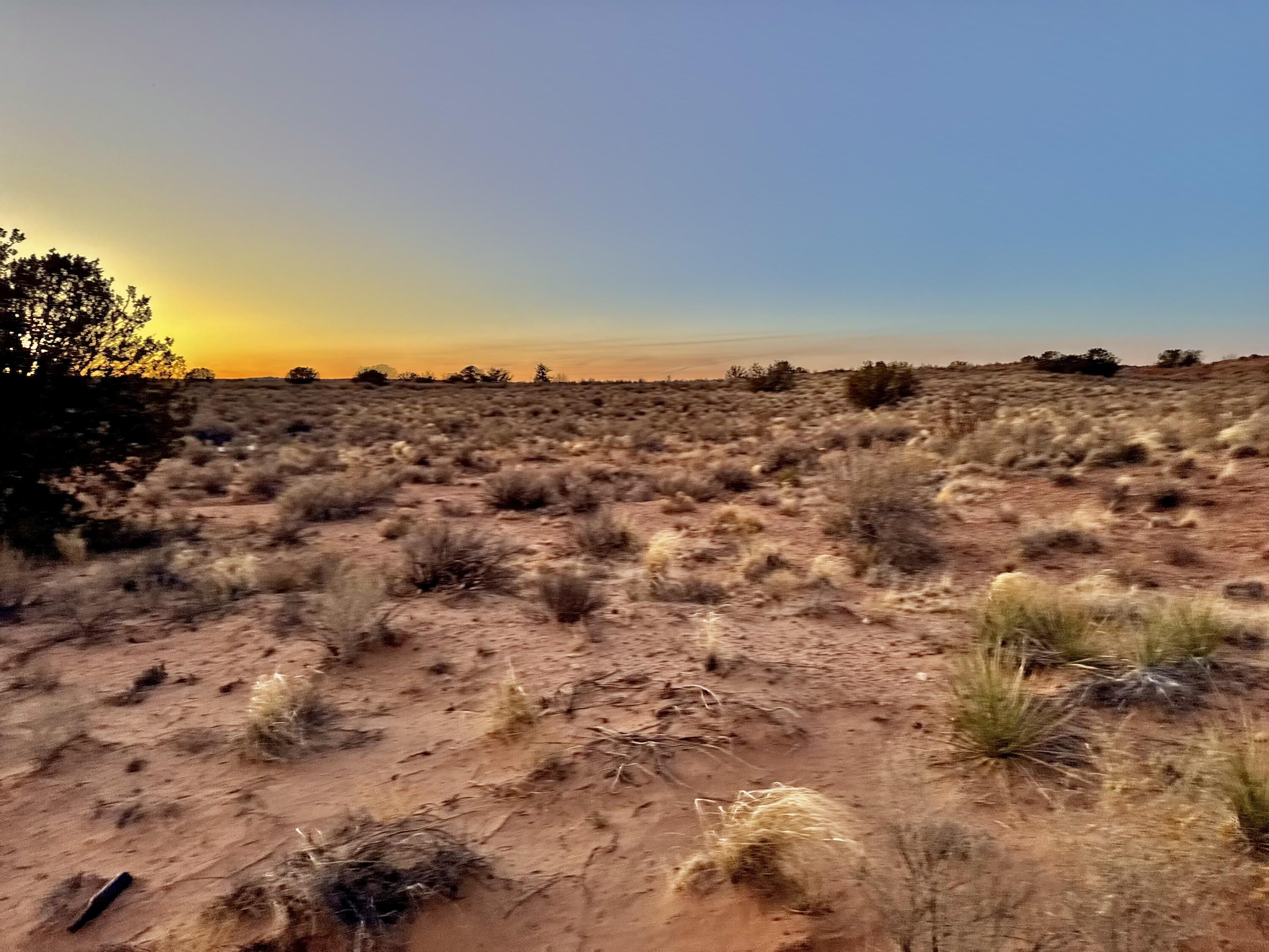 Moon Road, Rio Rancho, New Mexico image 7