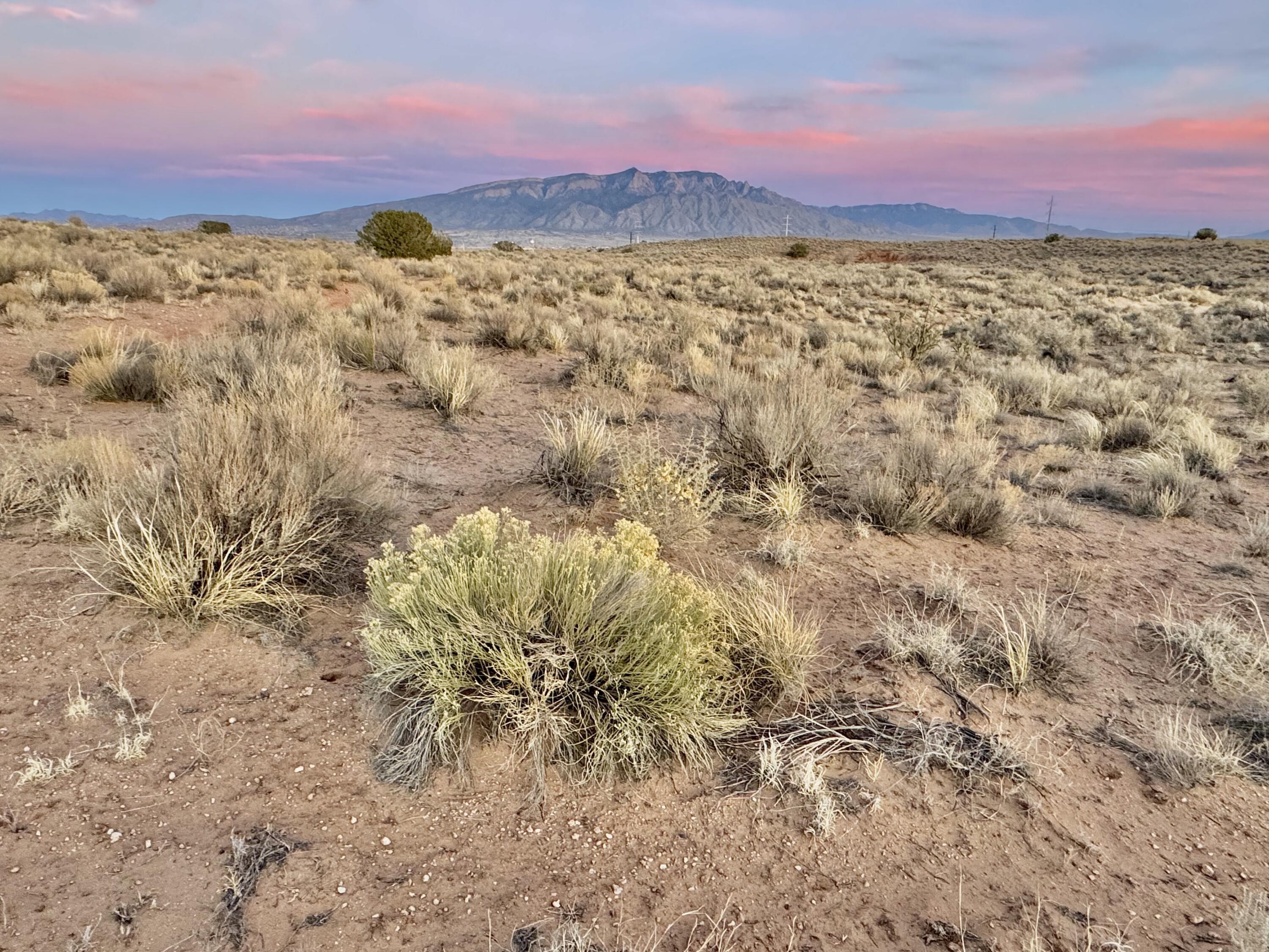 Moon Road, Rio Rancho, New Mexico image 12