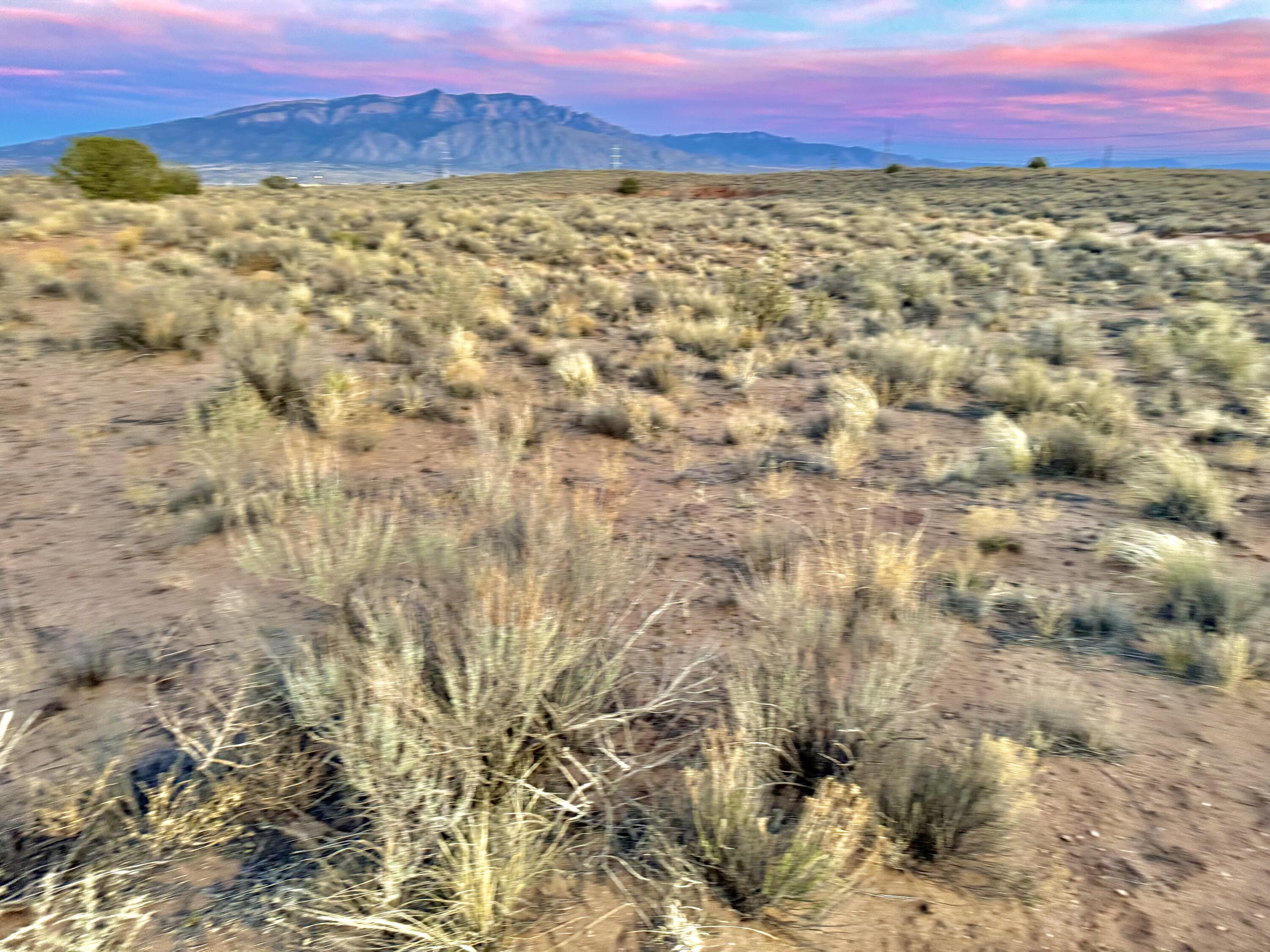 Moon Road, Rio Rancho, New Mexico image 22