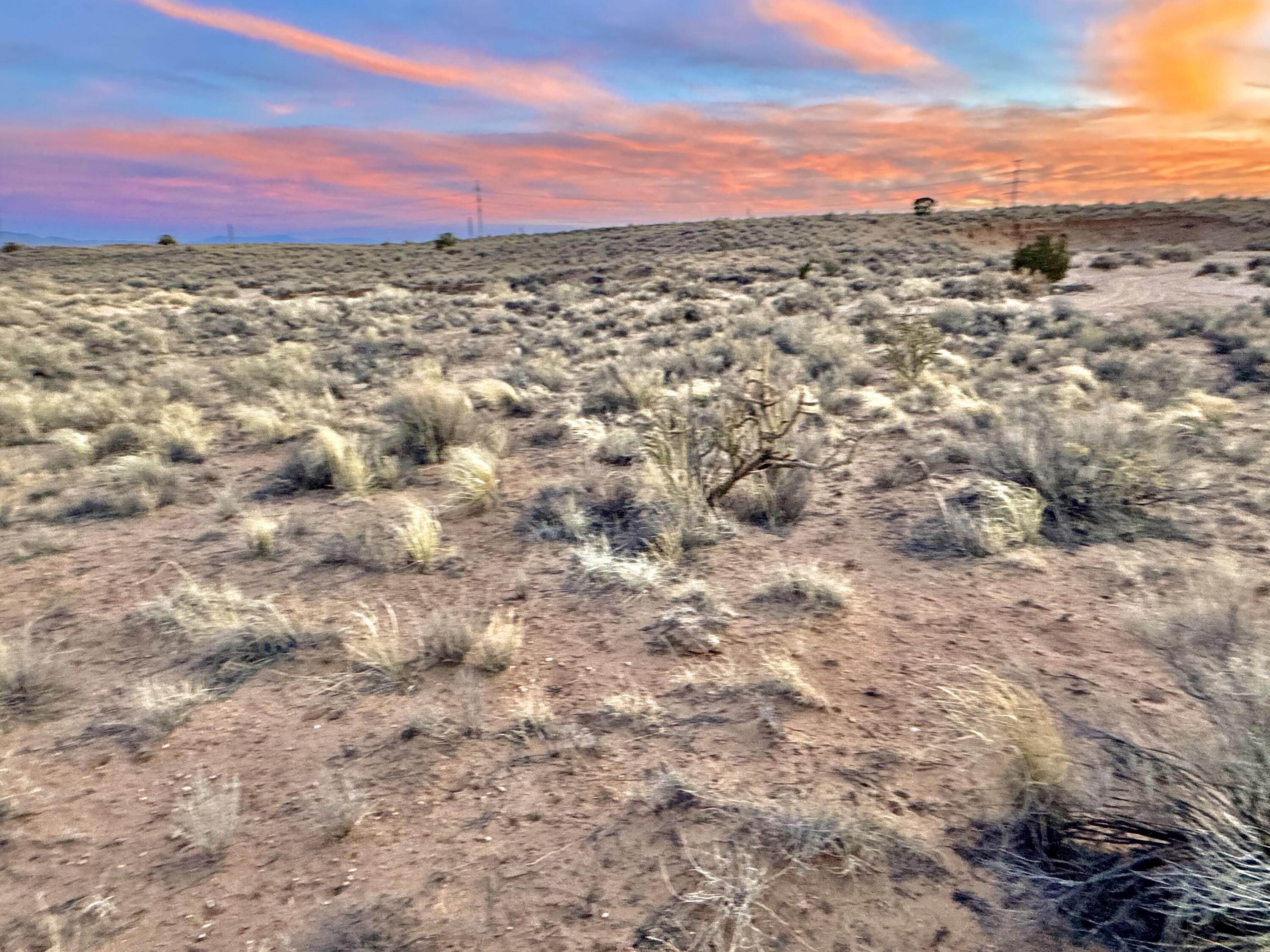 Moon Road, Rio Rancho, New Mexico image 17