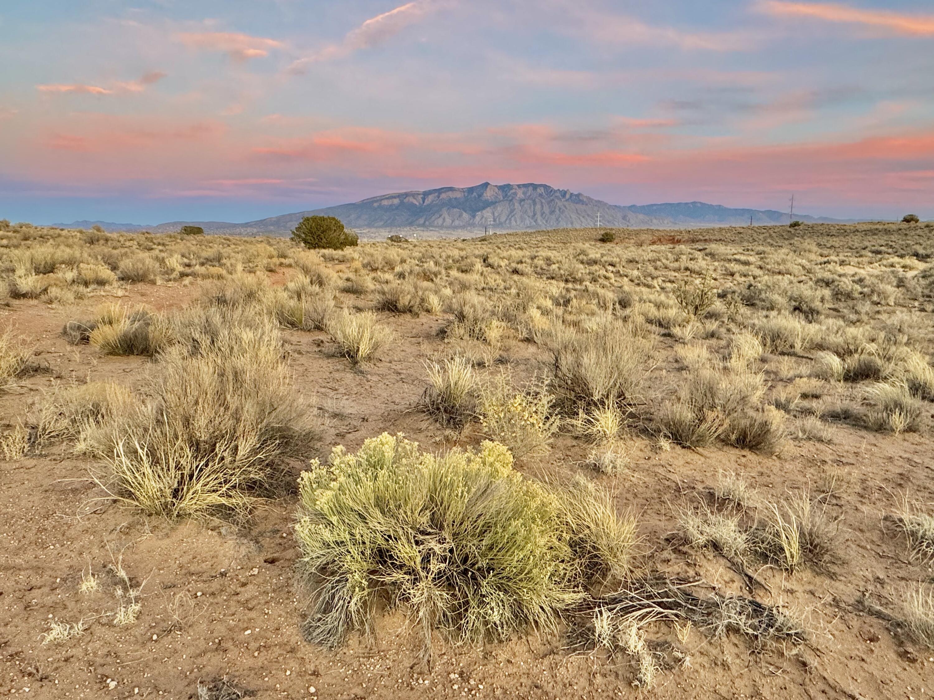 Moon Road, Rio Rancho, New Mexico image 11