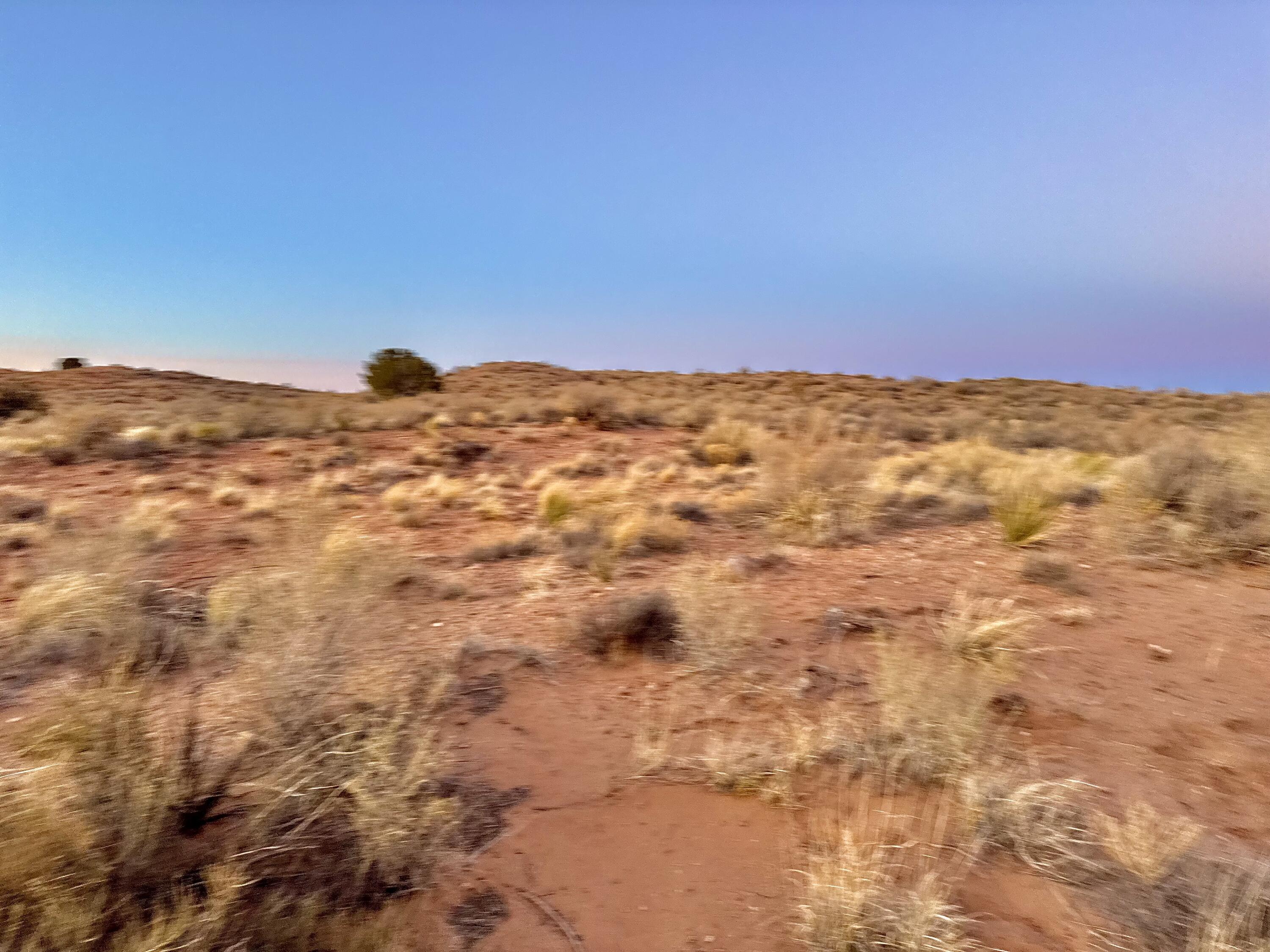 Moon Road, Rio Rancho, New Mexico image 10