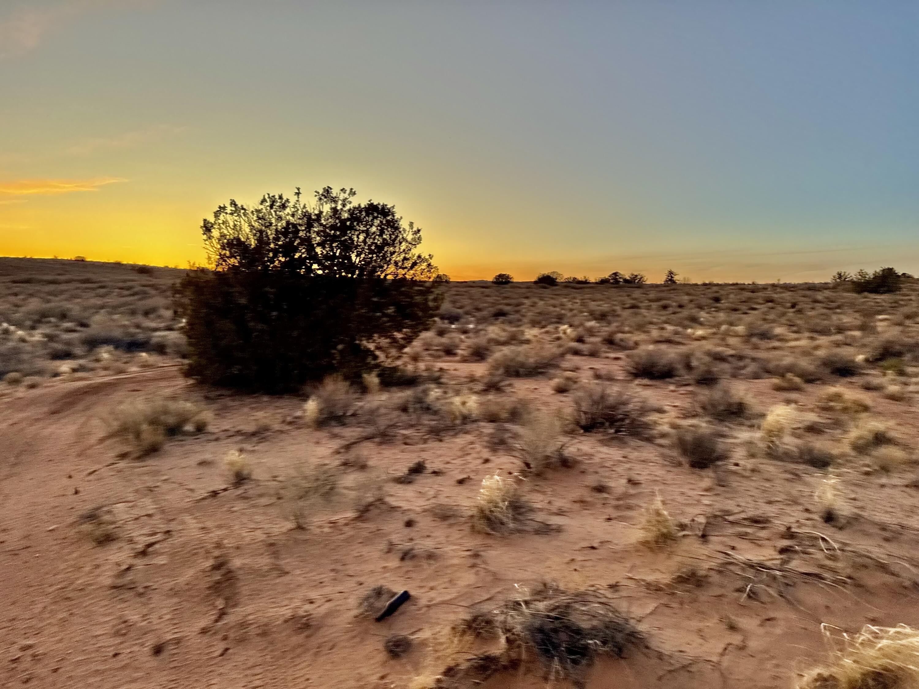 Moon Road, Rio Rancho, New Mexico image 6