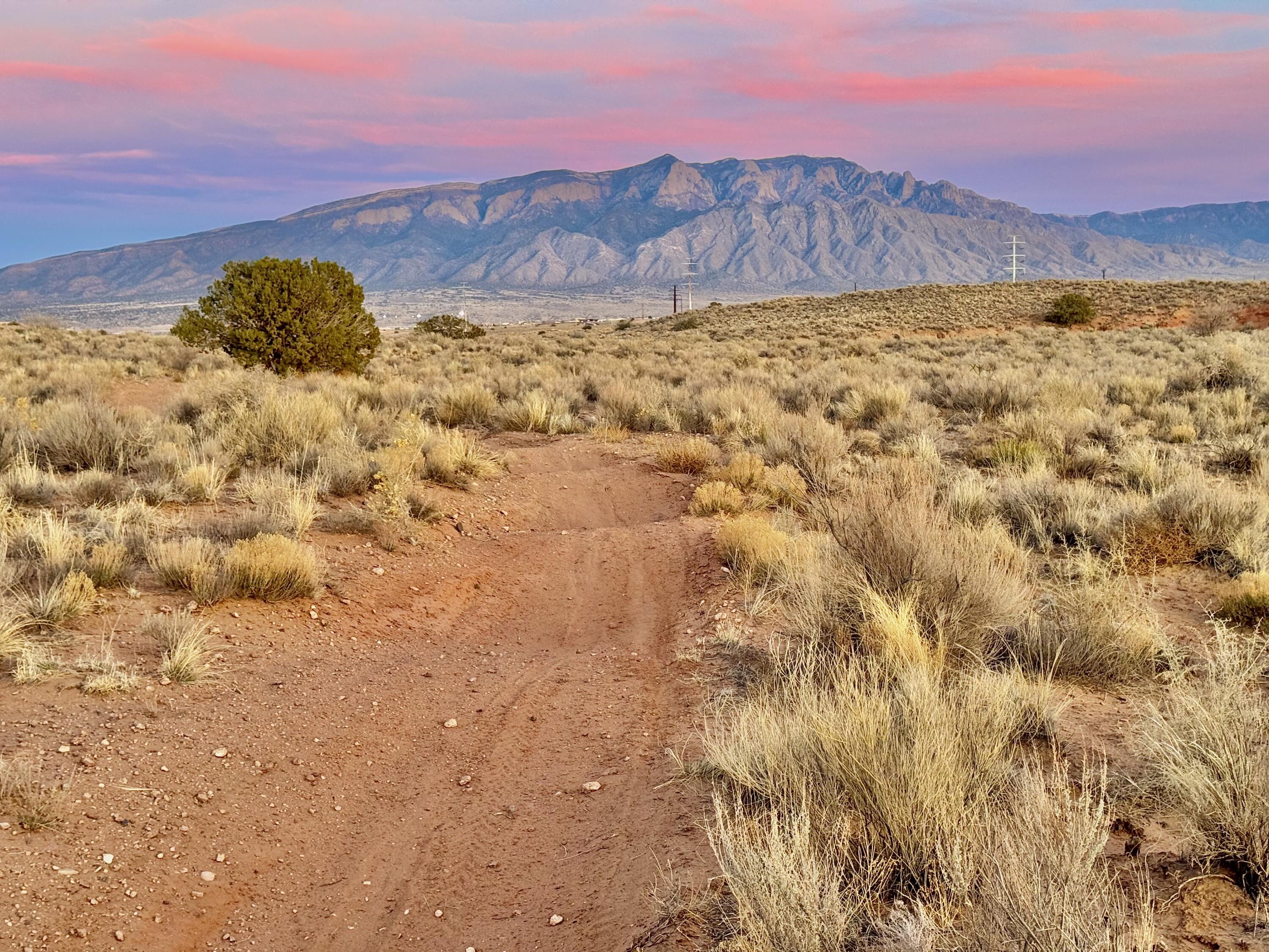 Moon Road, Rio Rancho, New Mexico image 29