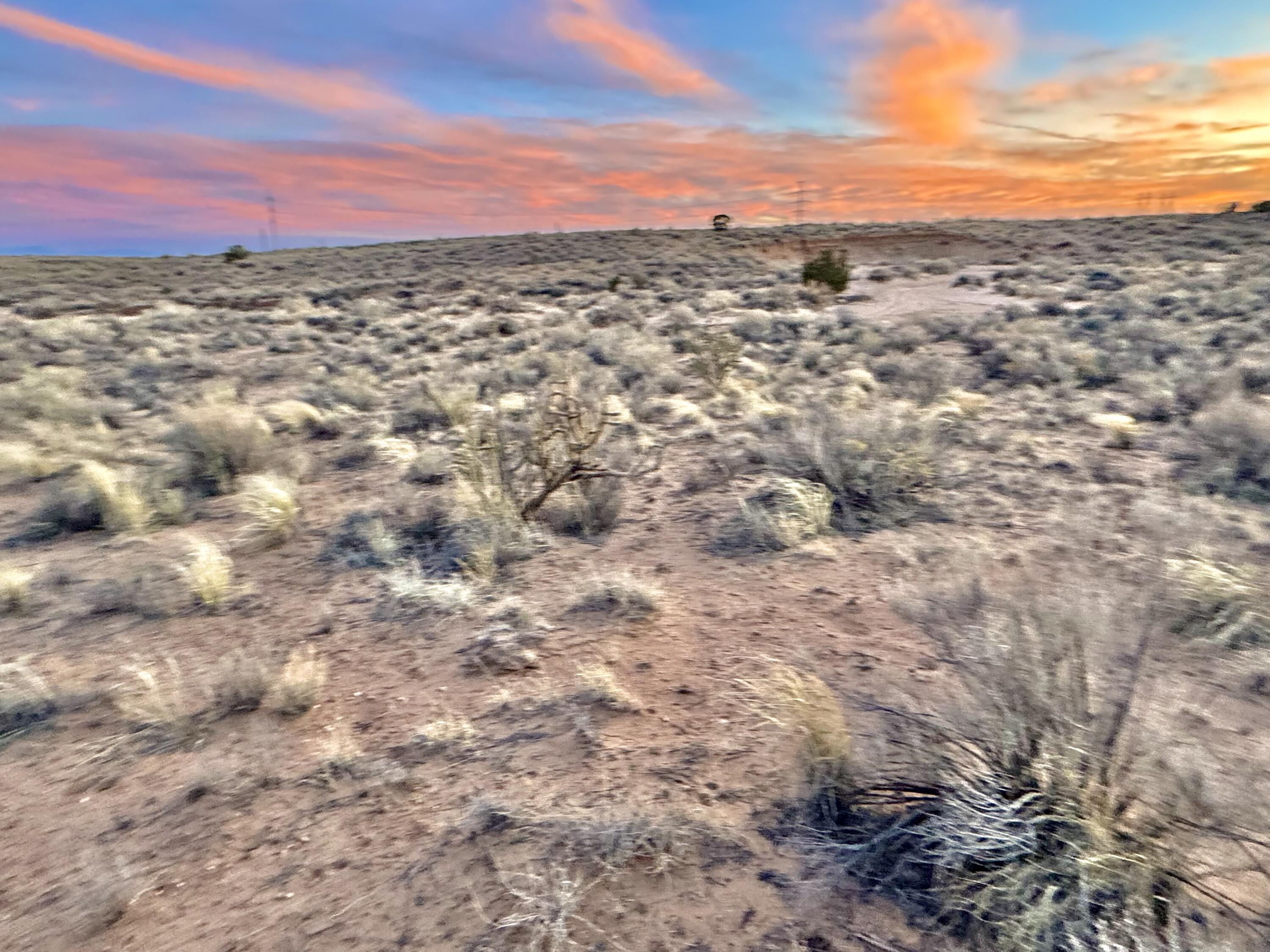 Moon Road, Rio Rancho, New Mexico image 16