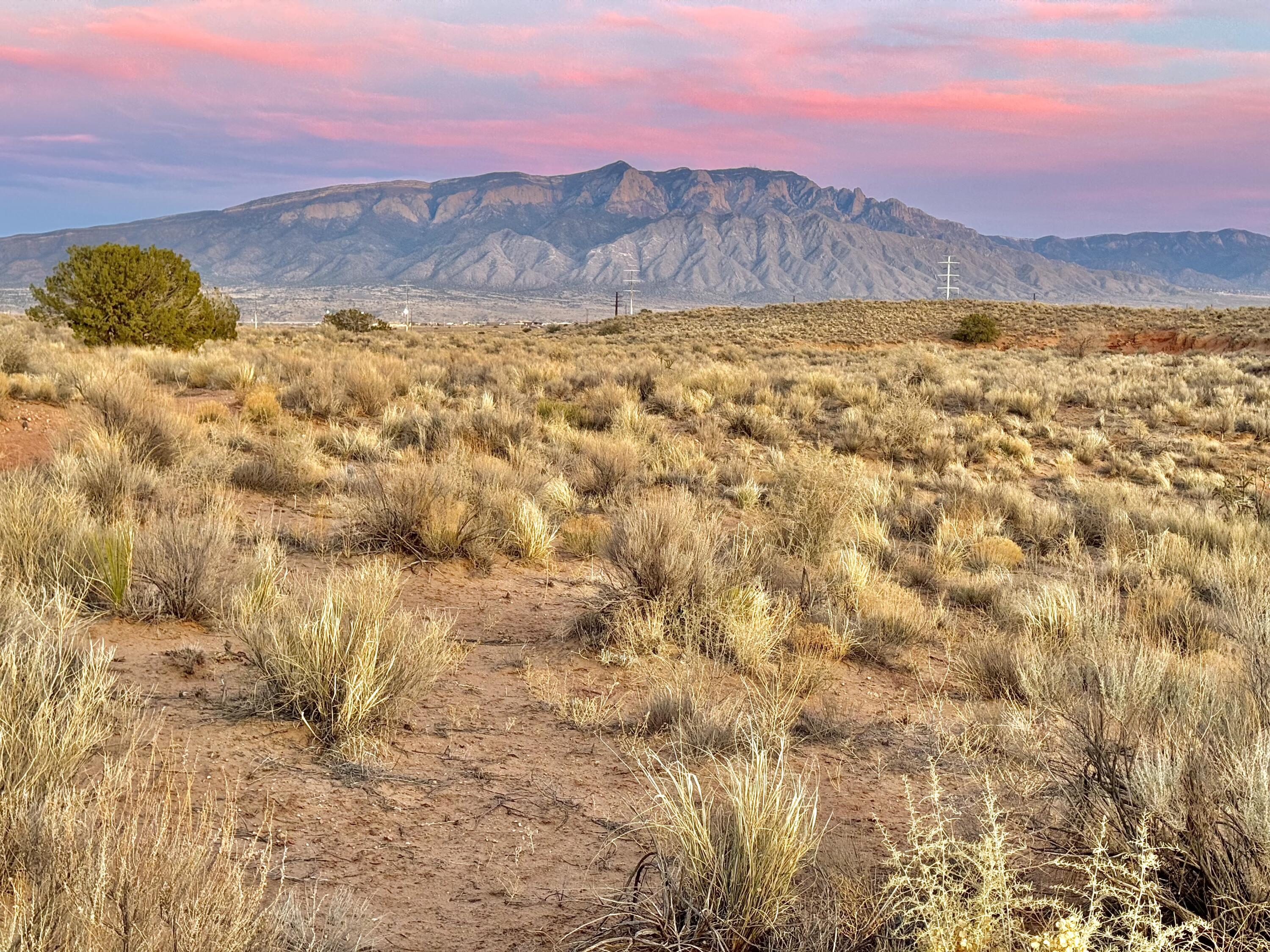 Moon Road, Rio Rancho, New Mexico image 1