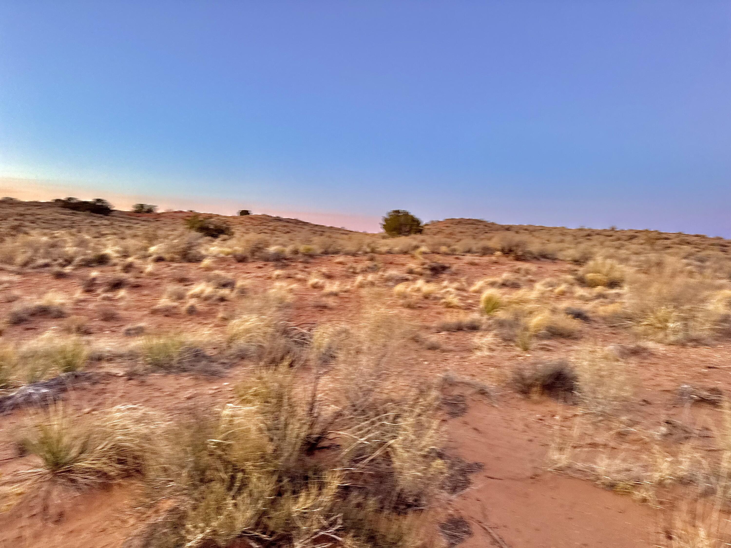 Moon Road, Rio Rancho, New Mexico image 9