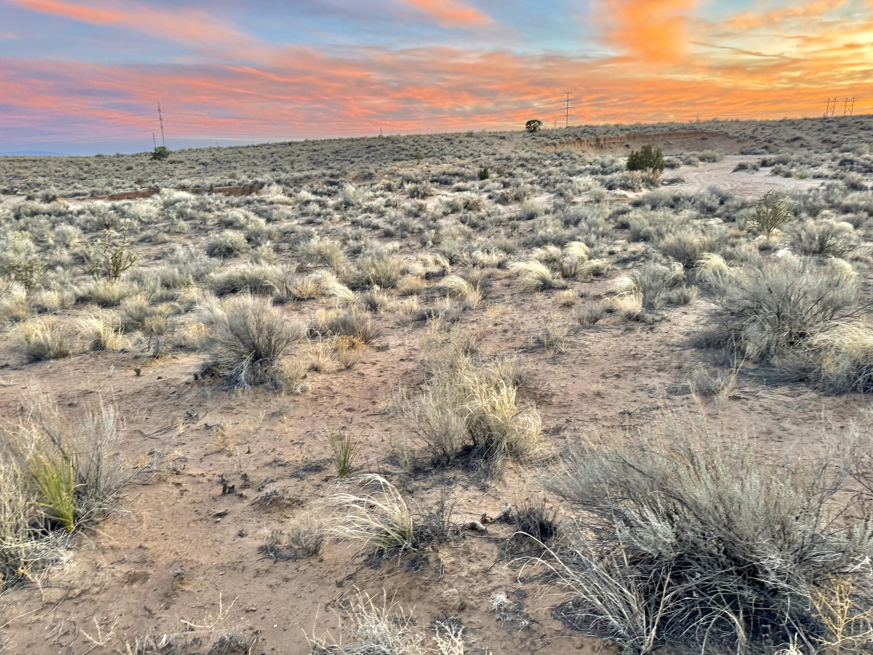 Moon Road, Rio Rancho, New Mexico image 23