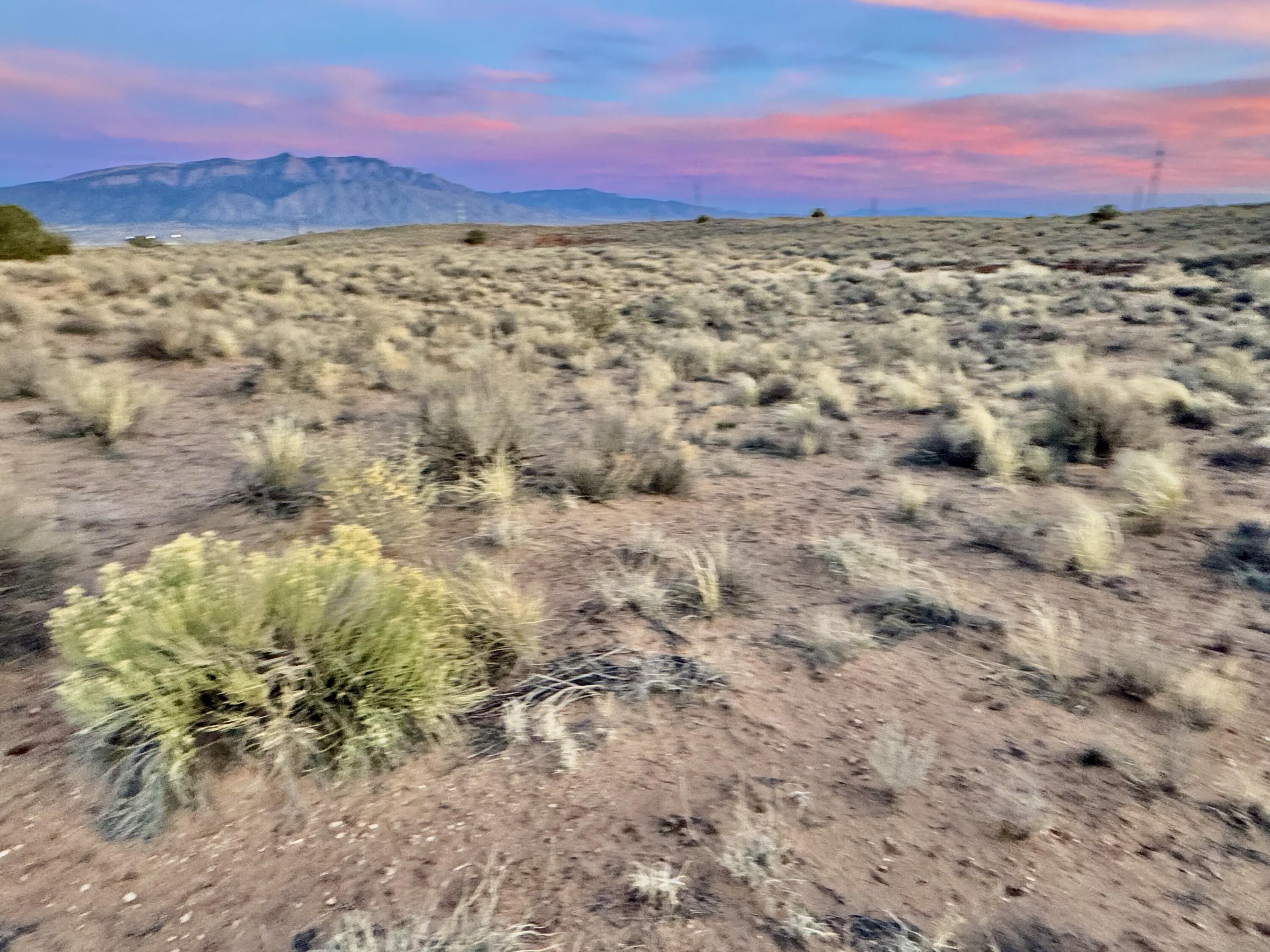 Moon Road, Rio Rancho, New Mexico image 20